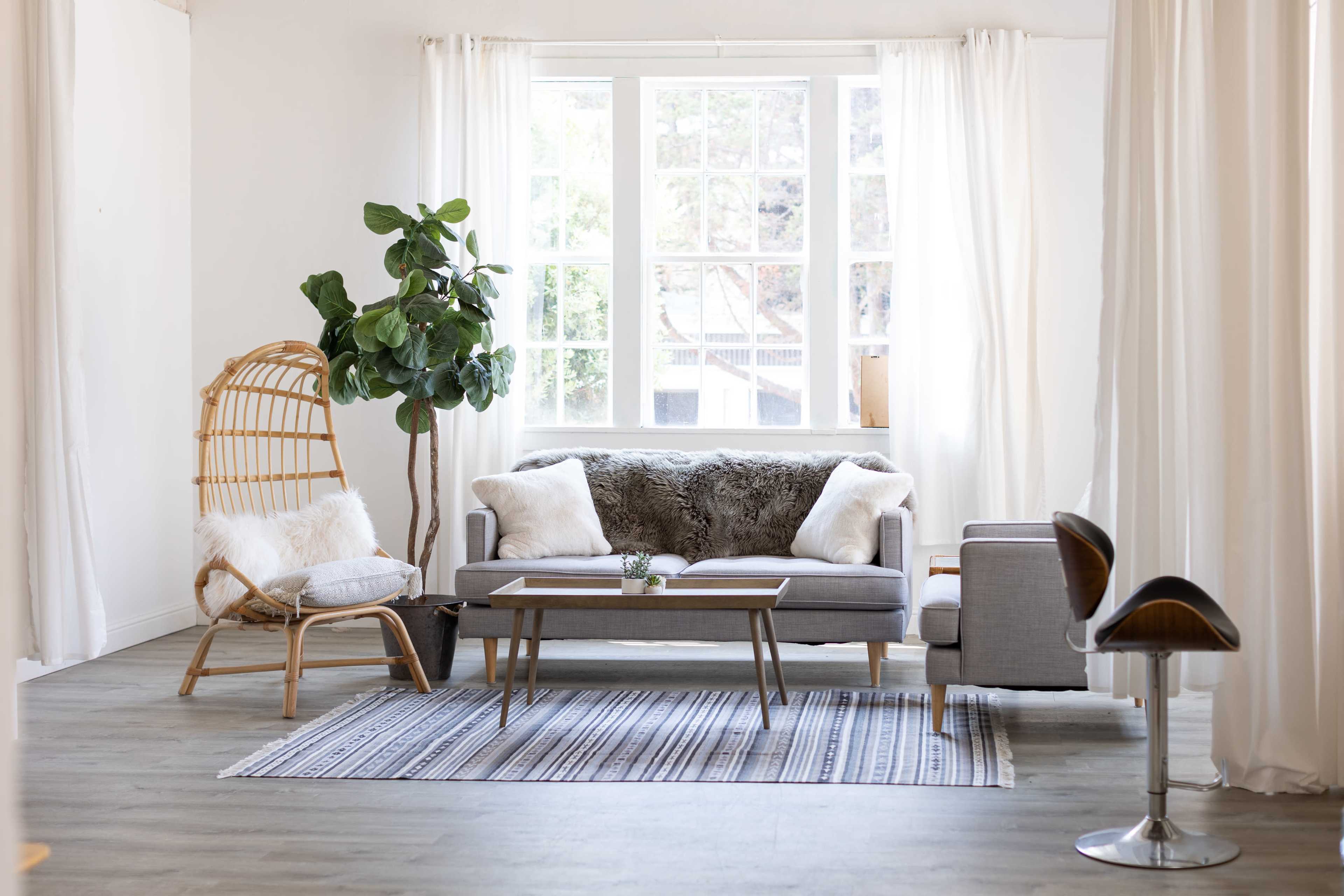 A bright living room features a gray sofa, a rattan chair, a potted plant, and a wooden coffee table on a striped rug beneath large windows.