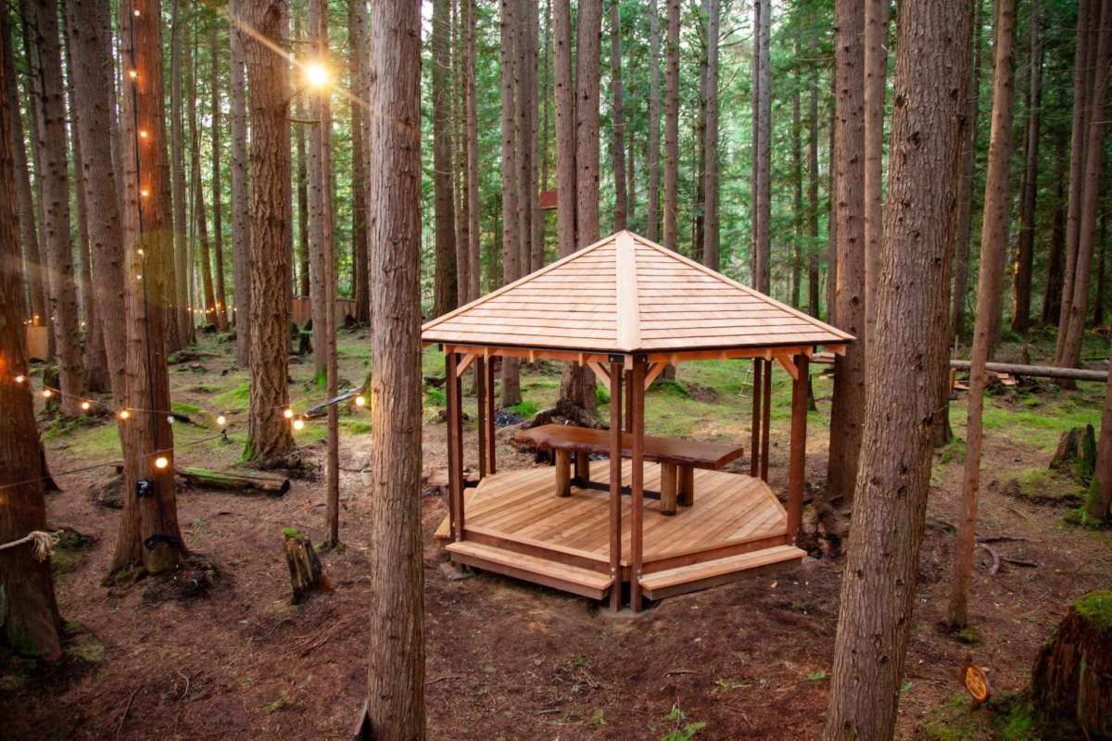 The image shows a wooden gazebo with a table inside, situated among tall trees in a forest.