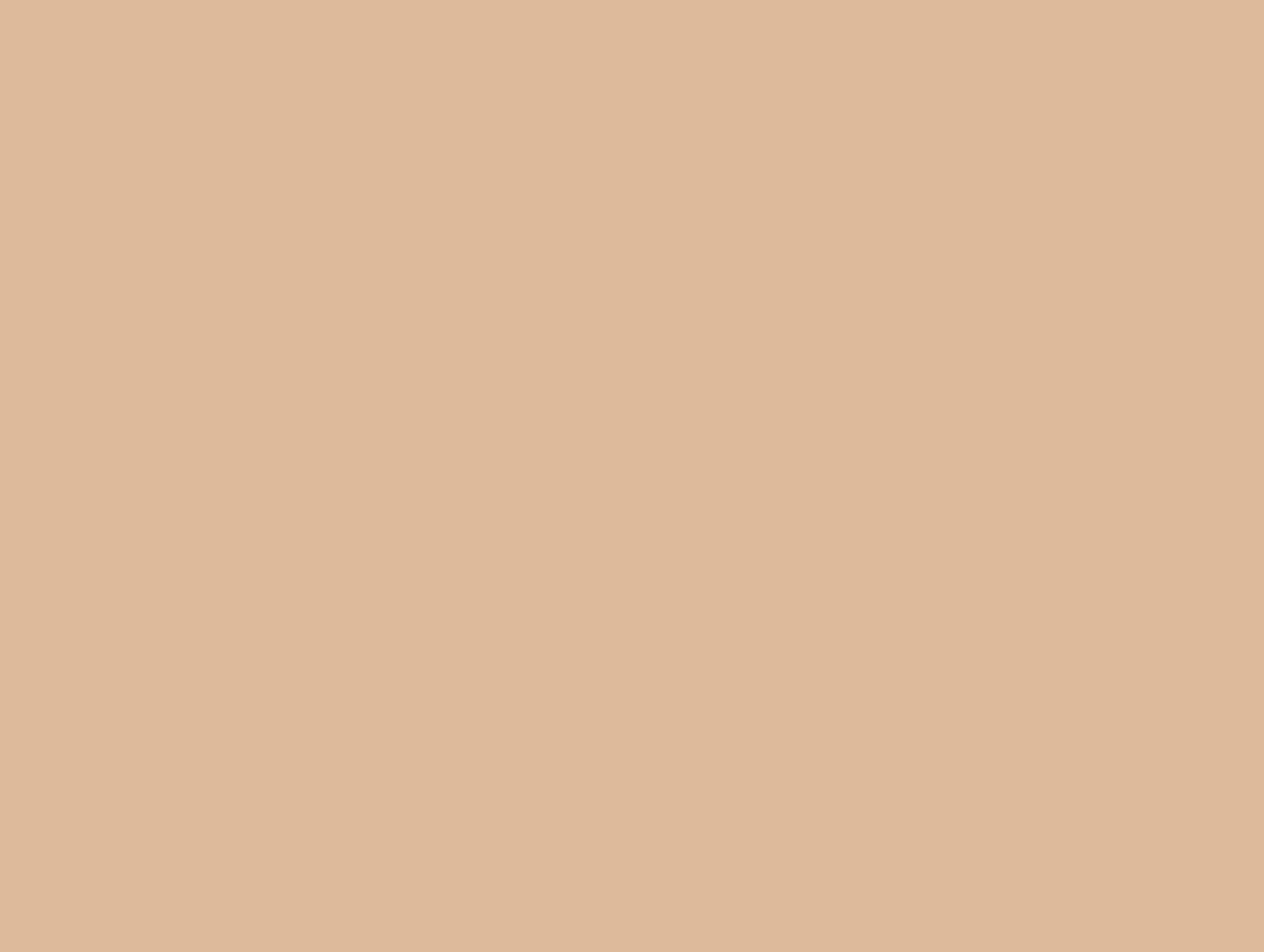 Beige Backdrop
