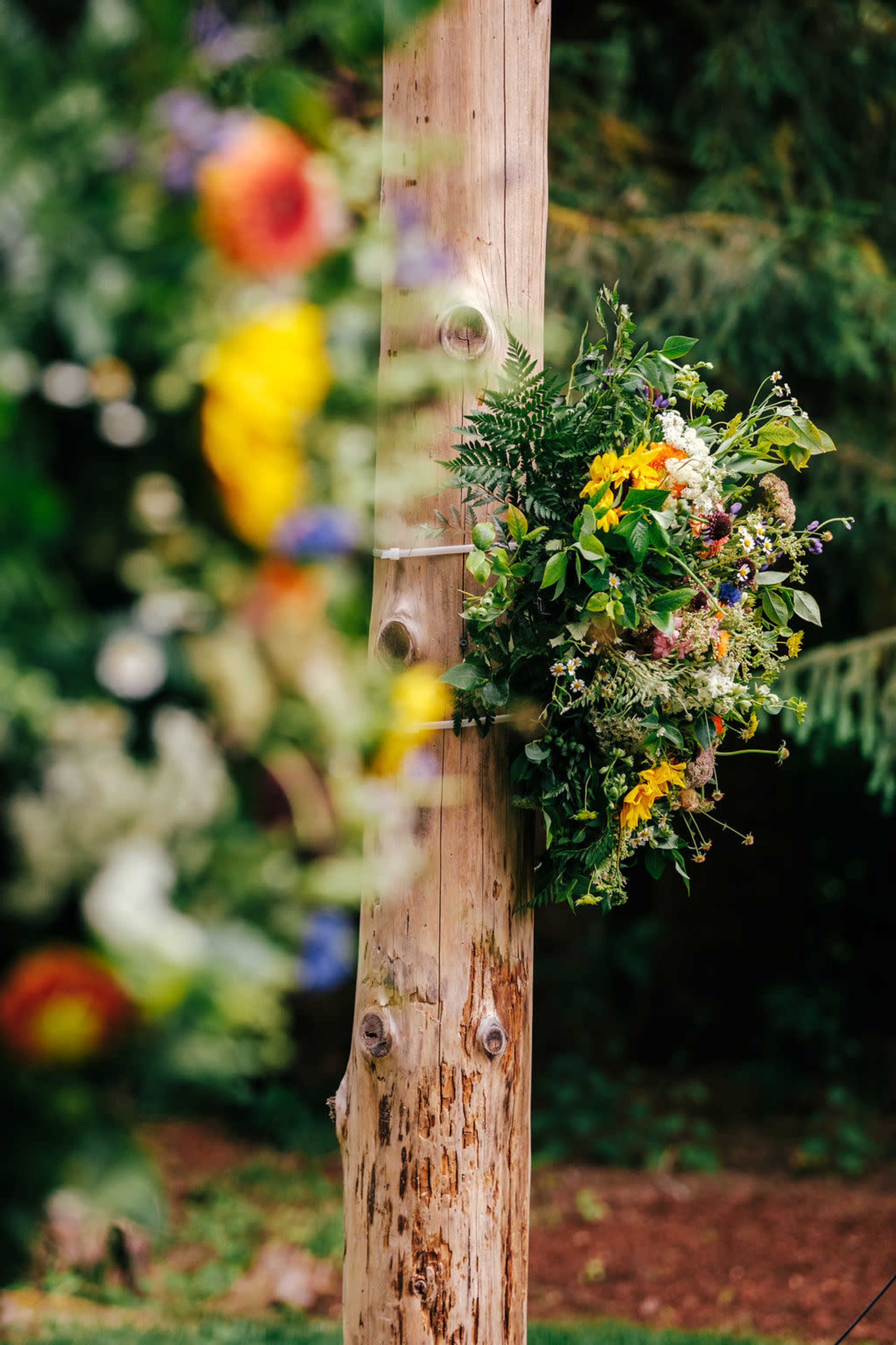 Beautiful forest oasis at the base of Mt. Pilchuck with river views and access Image in , Granite Falls, WA