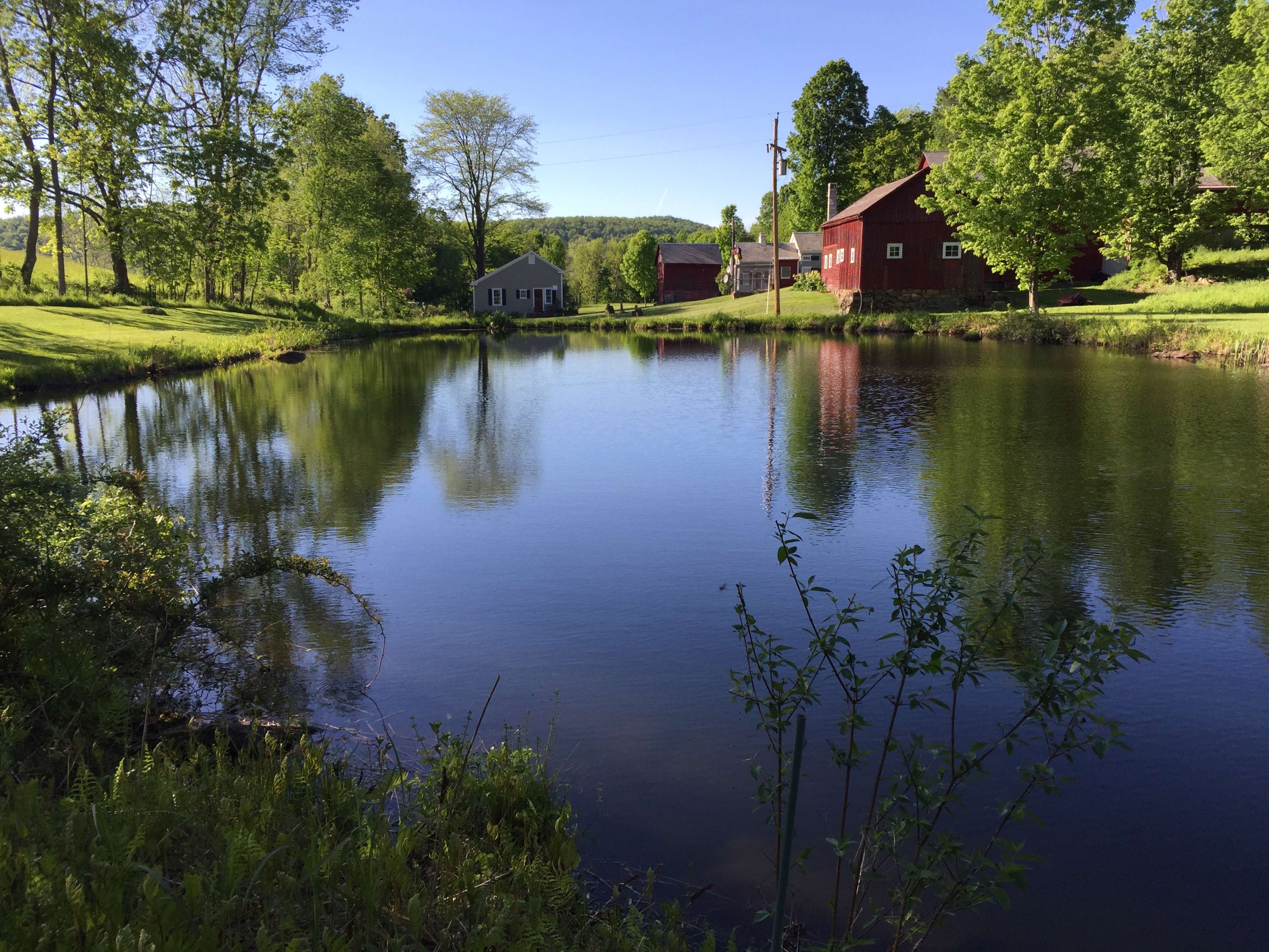 The scene shows a calm pond surrounded by lush greenery and red wooden buildings under a clear blue sky.