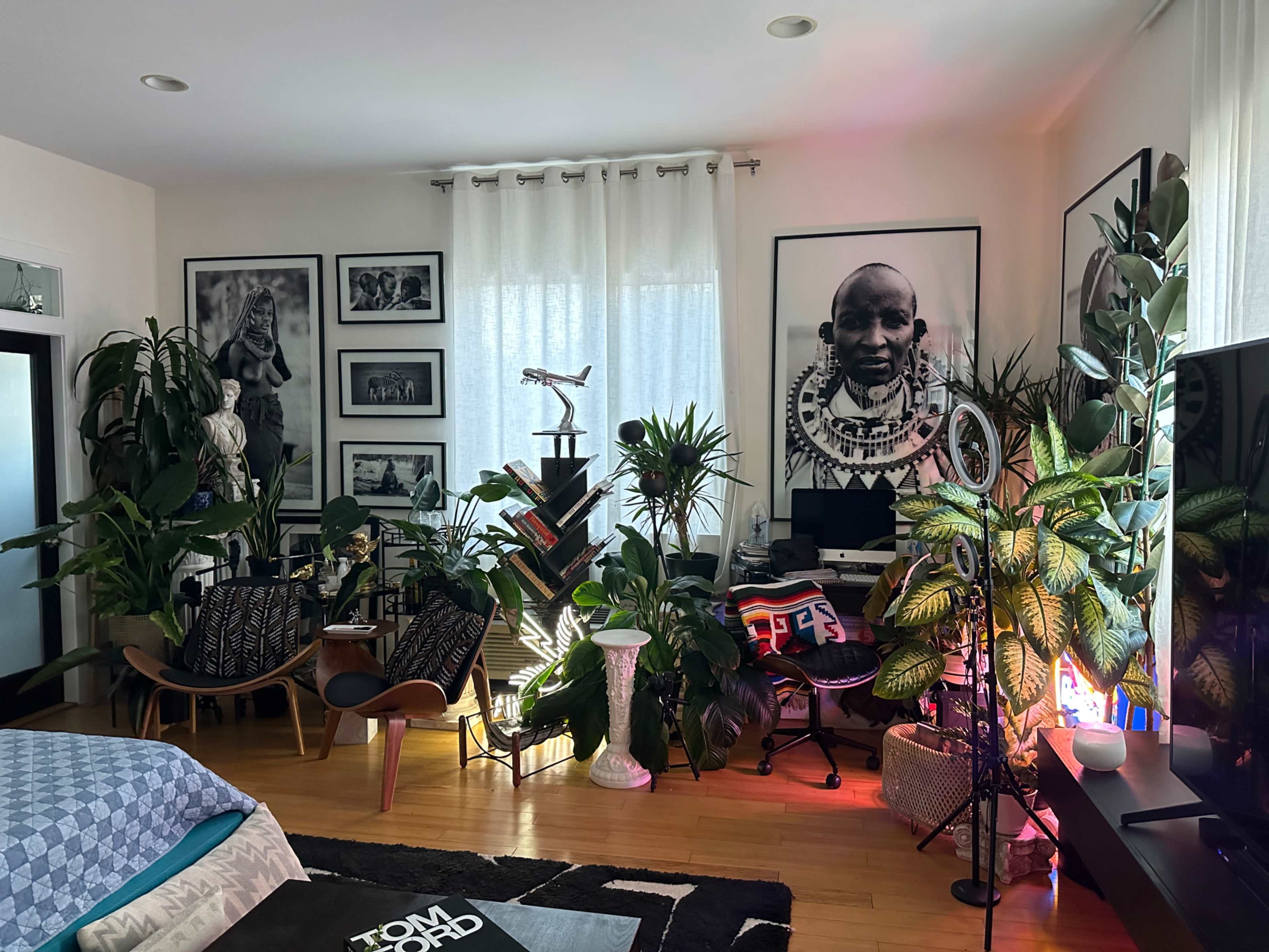 The room features a mix of tropical plants, framed photographs, and modern furniture, creating a vibrant and eclectic living space.