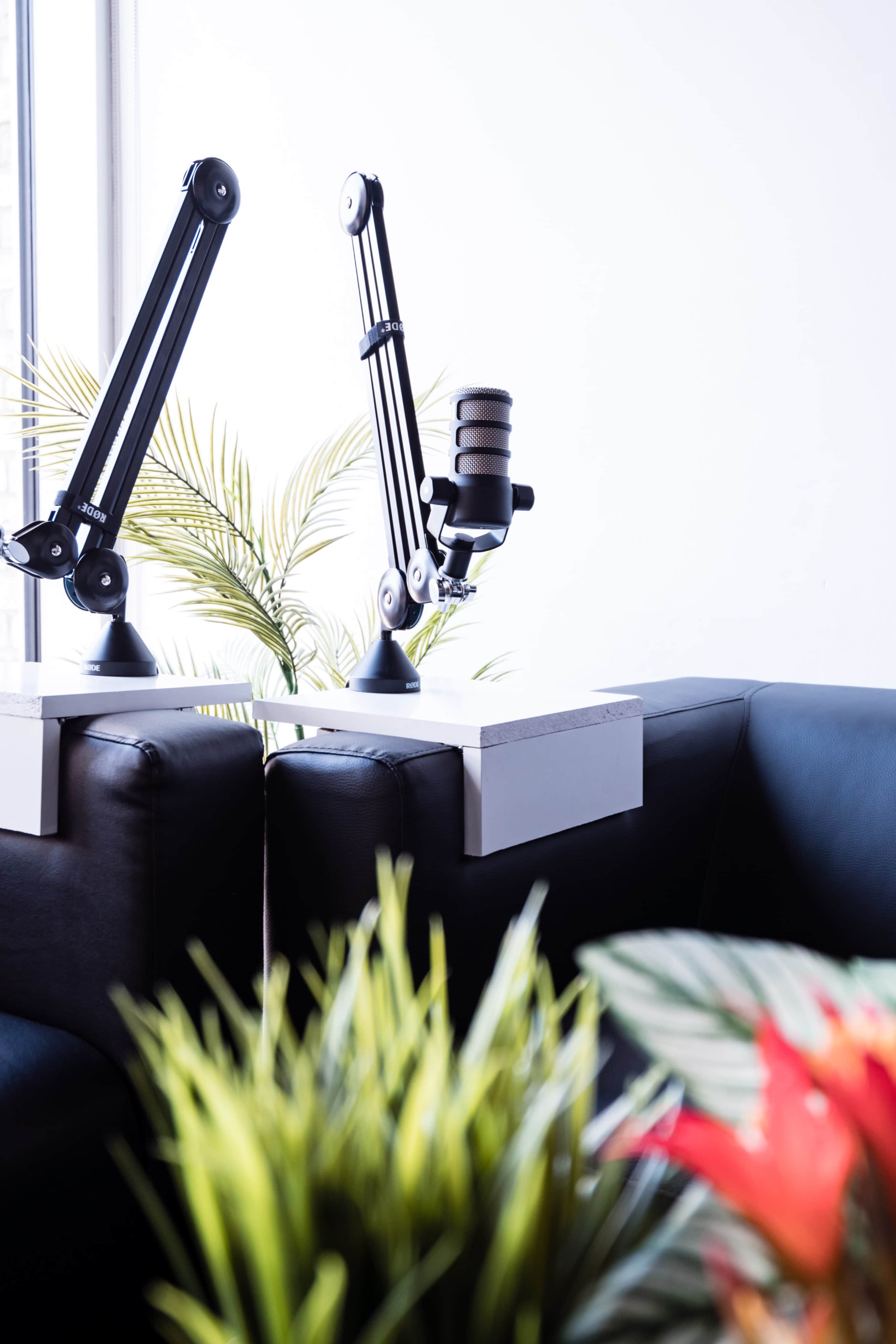 Two microphone stands positioned on a low table with green plants in the background.