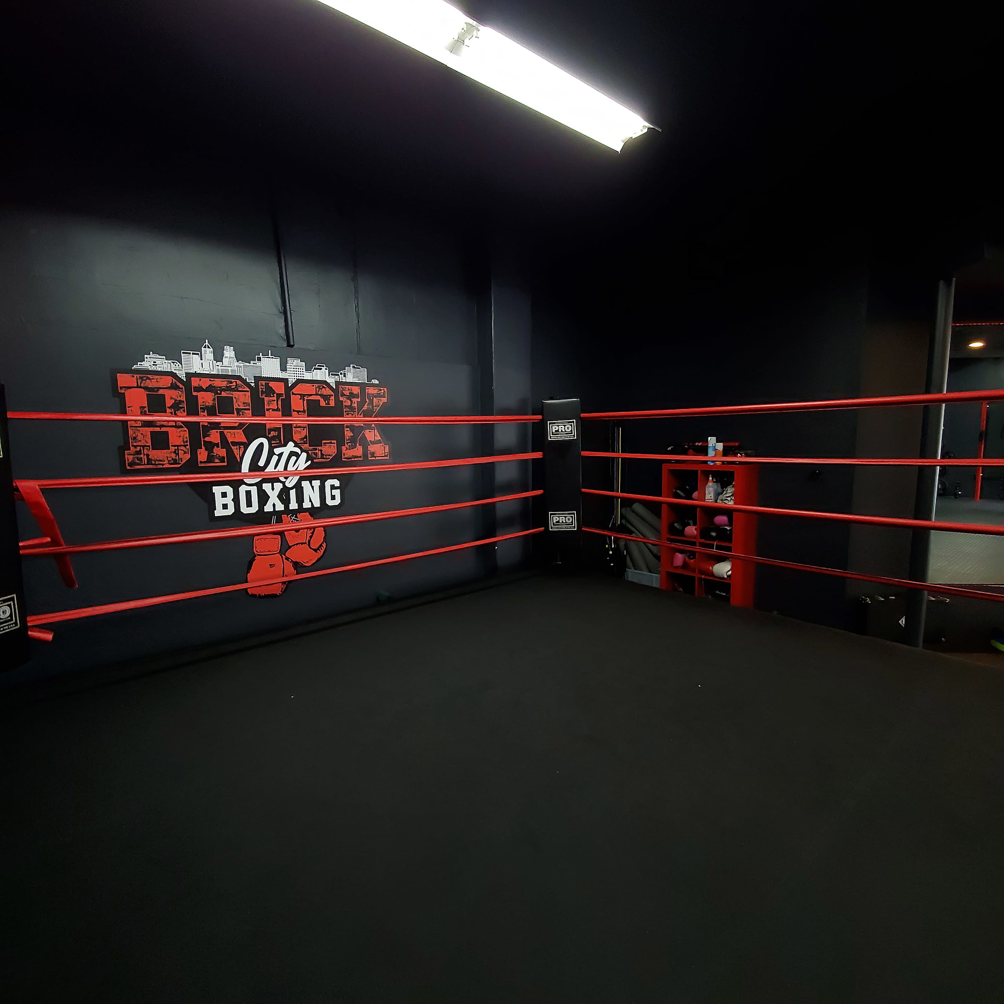 A boxing ring with red padded walls and a black floor is set against a wall featuring the words "Brick Boxing" in bold lettering.
