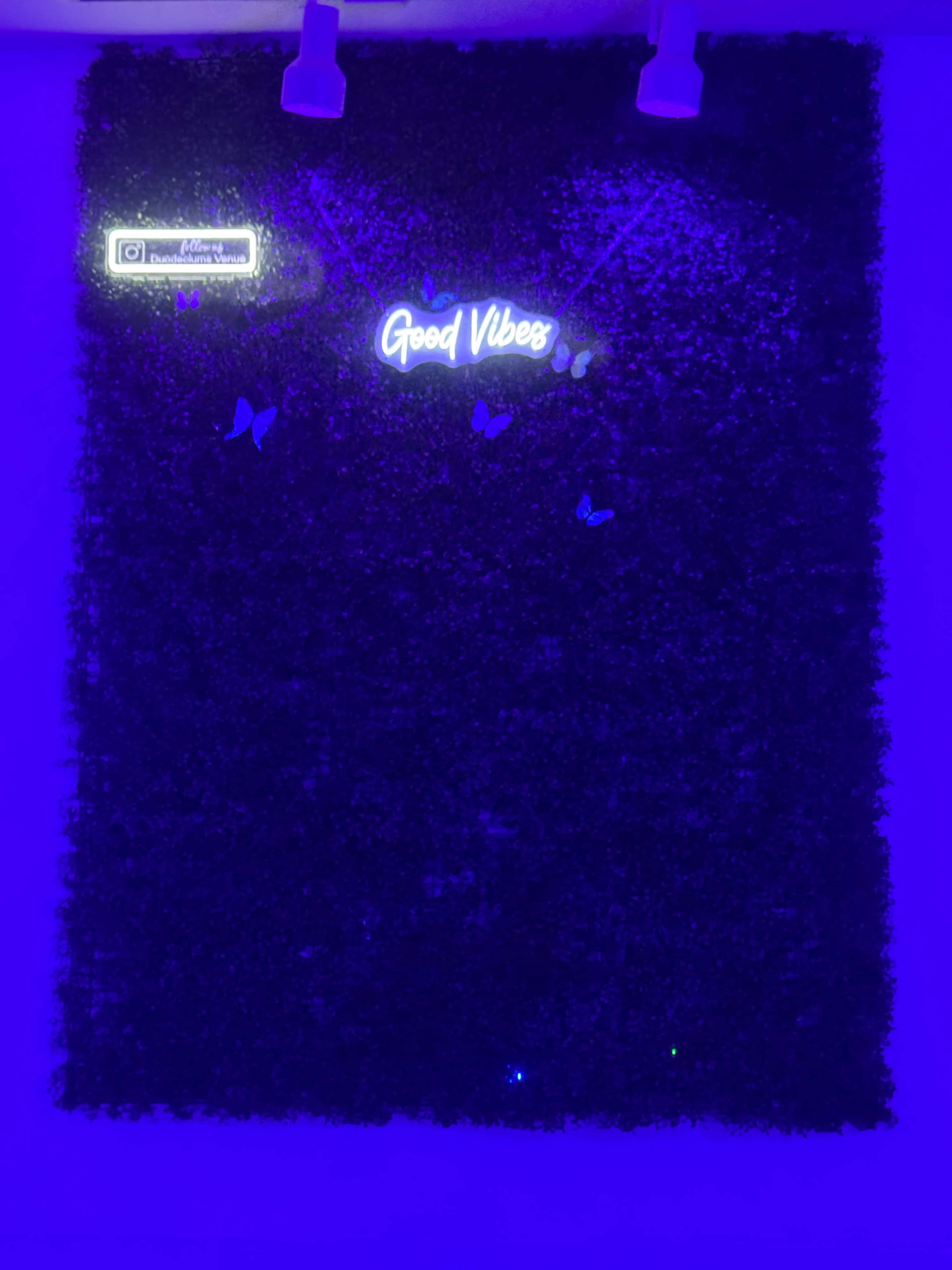 The image shows a wall covered in dark foliage with a neon sign that reads "Good Vibes" and a light blue backdrop.