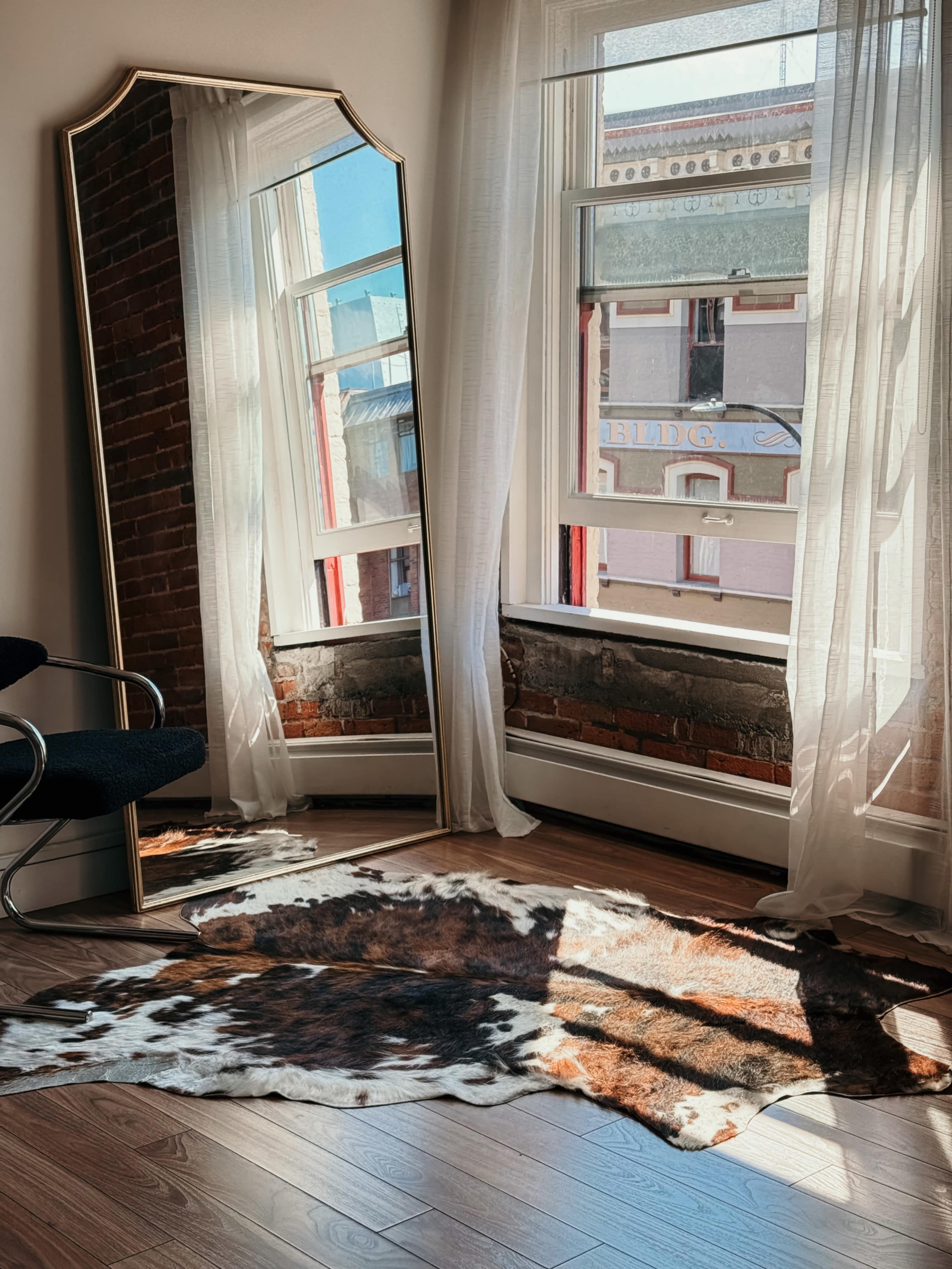 The scene features a bright room with a large mirror reflecting sunlight, a cowhide rug on the floor, and a chair beside a window.