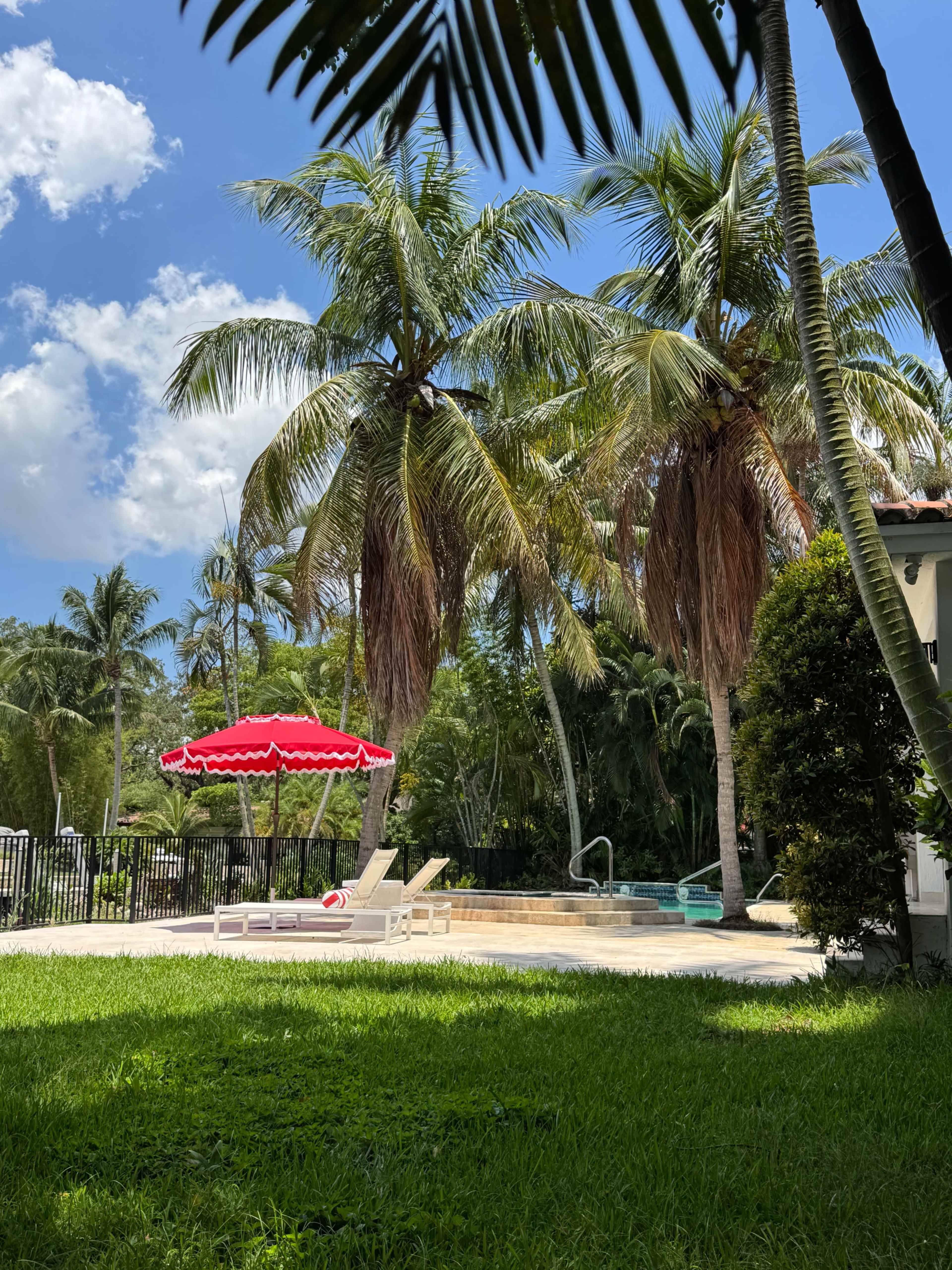 The scene depicts a pool area surrounded by tall palm trees and a red and white umbrella, with a lounge chair positioned on the lawn.
