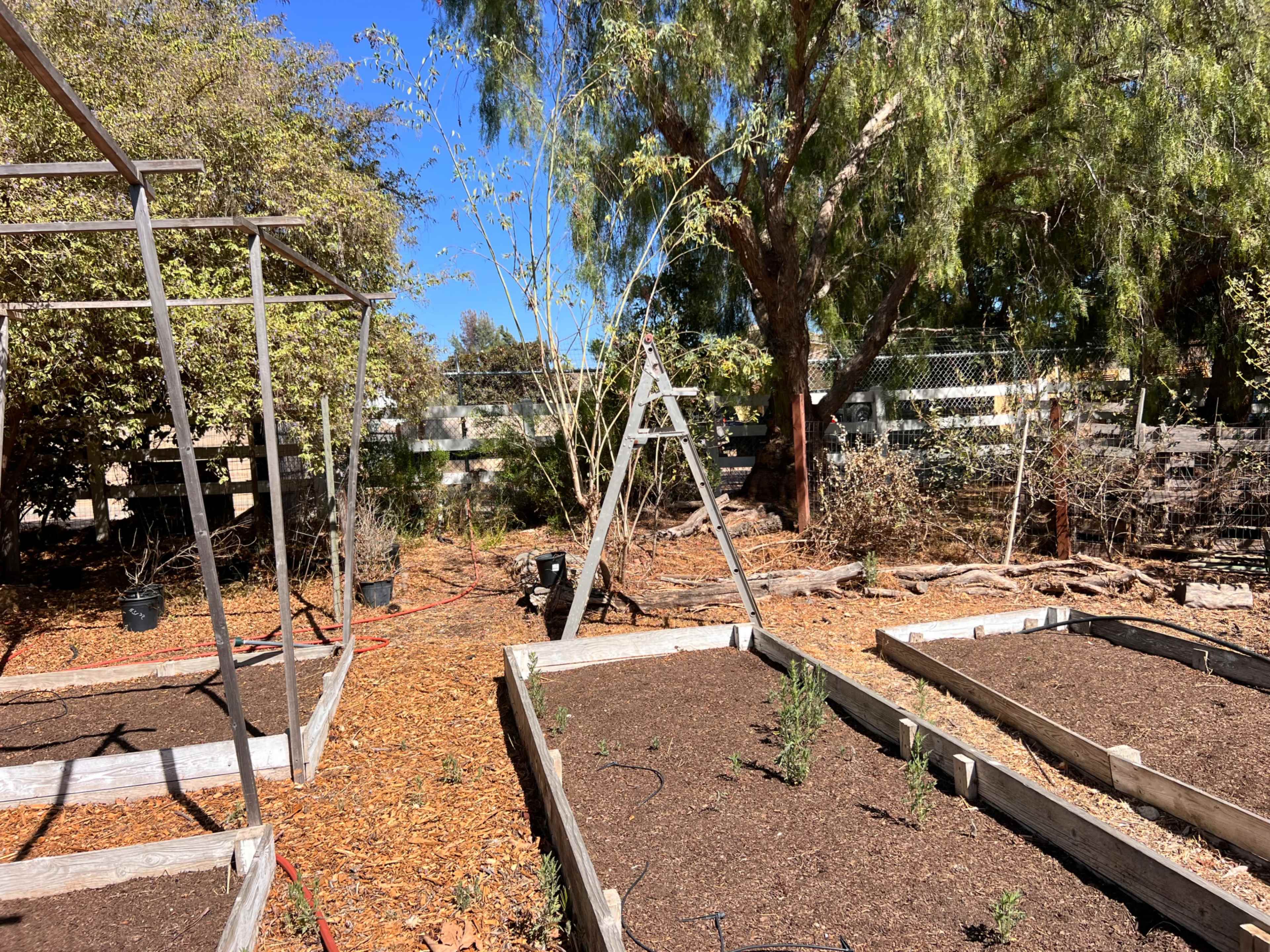 A raised garden bed area with wooden frames and bare soil is set against a backdrop of trees and a blue sky.