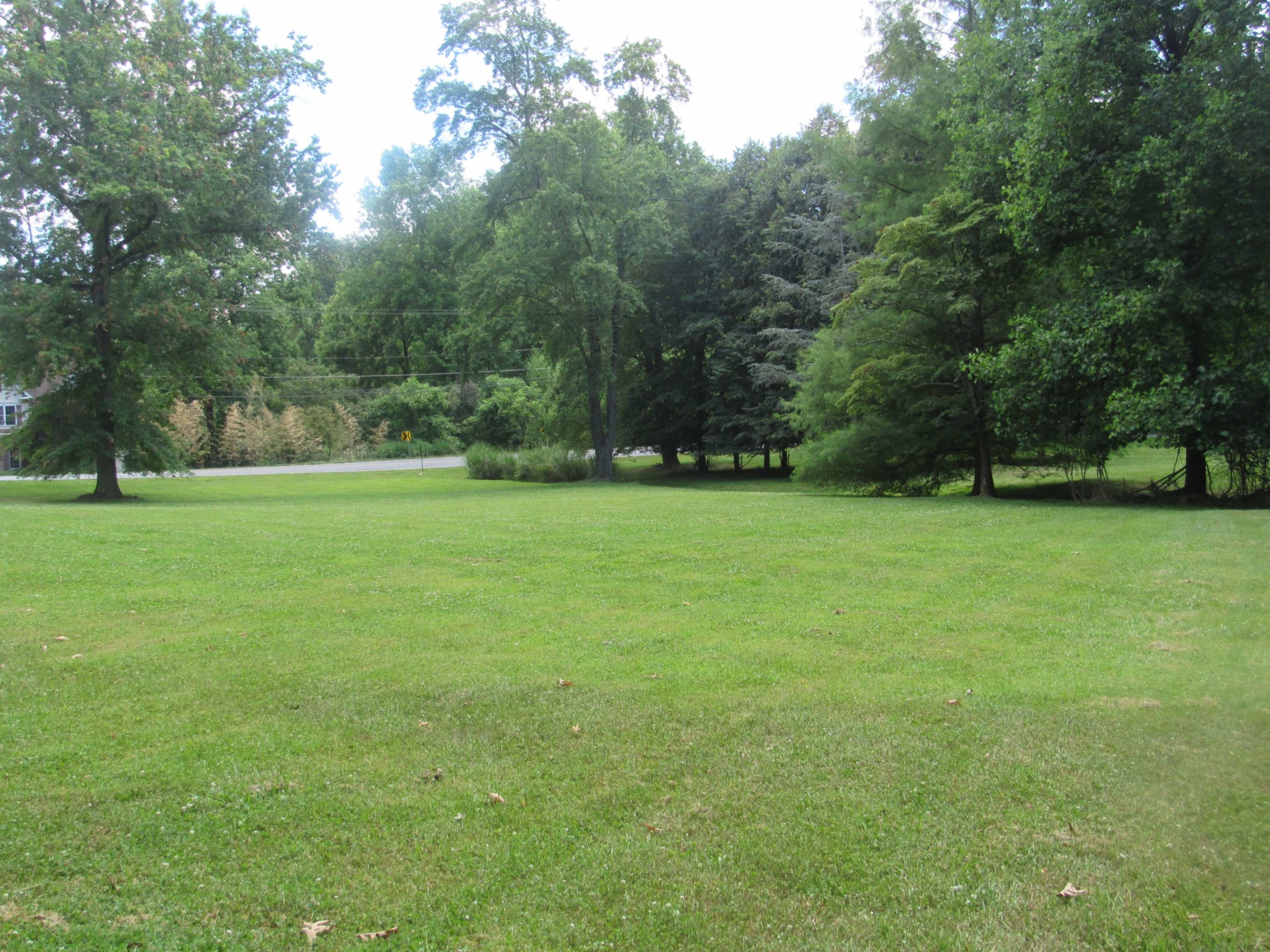 A large, grassy field is bordered by trees and a road in the background.