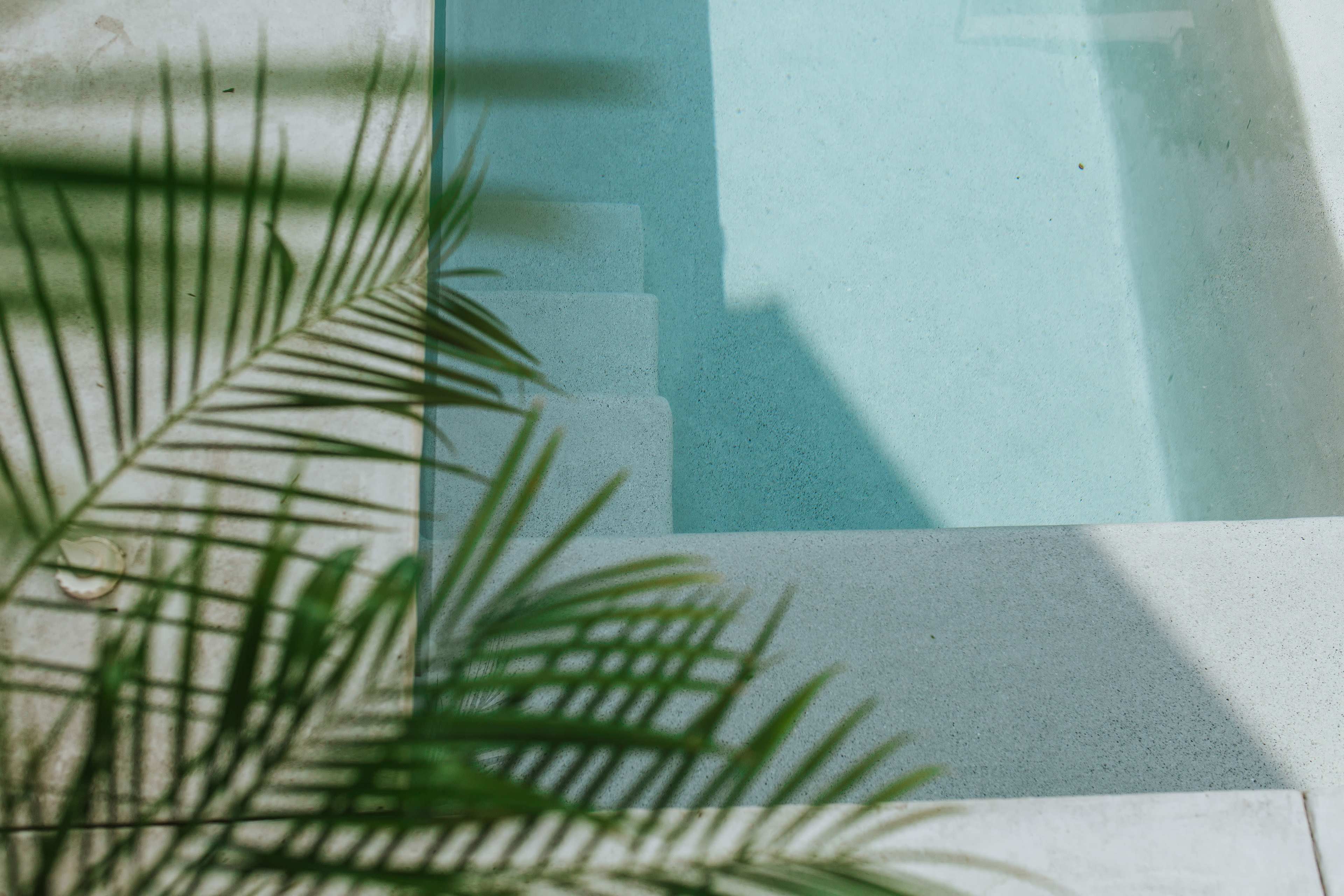 A clear swimming pool with steps leading down, partially framed by a green palm leaf.