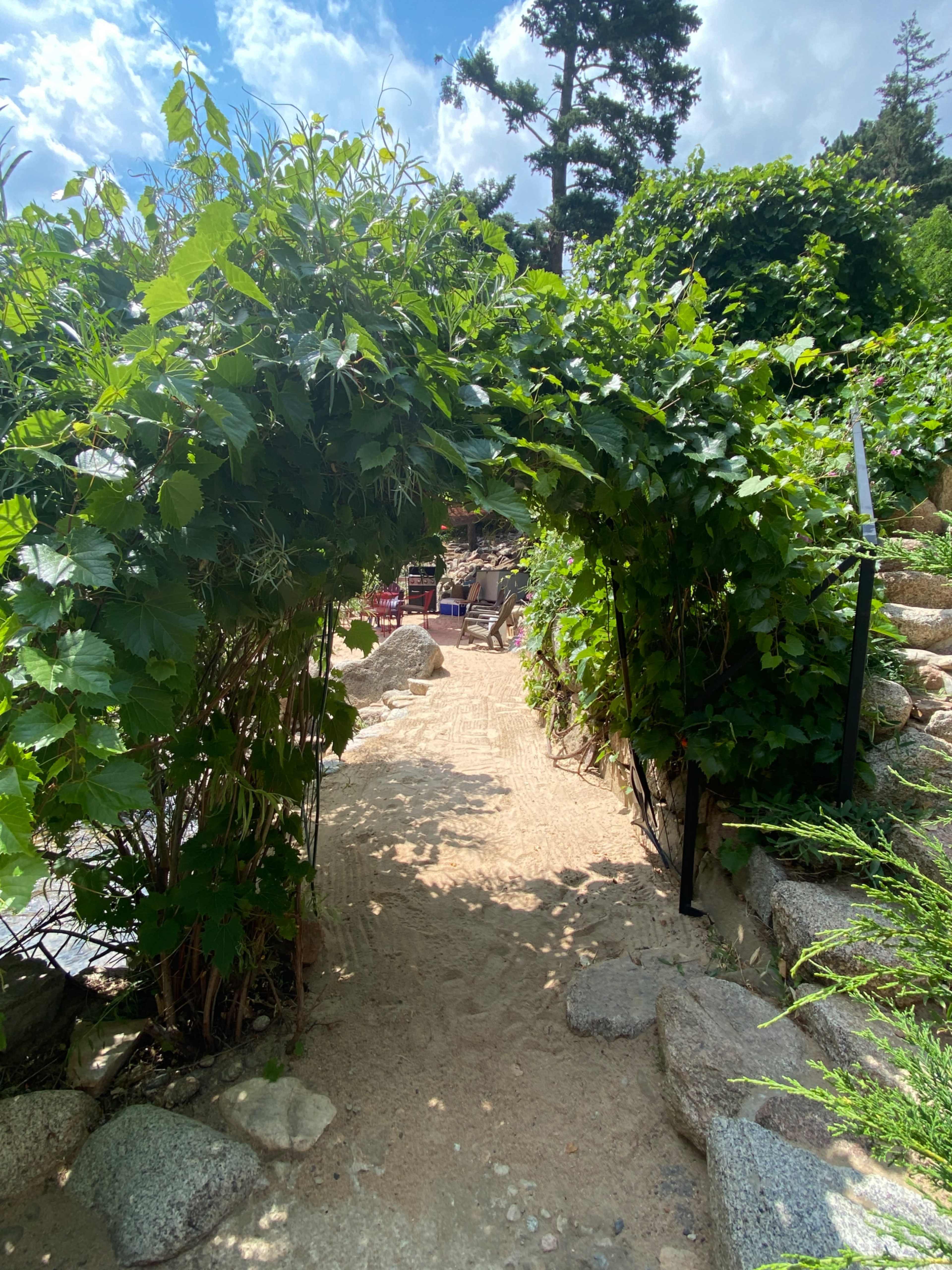 Beach in Mountain Canyon near Downtown! Image in , Boulder, CO