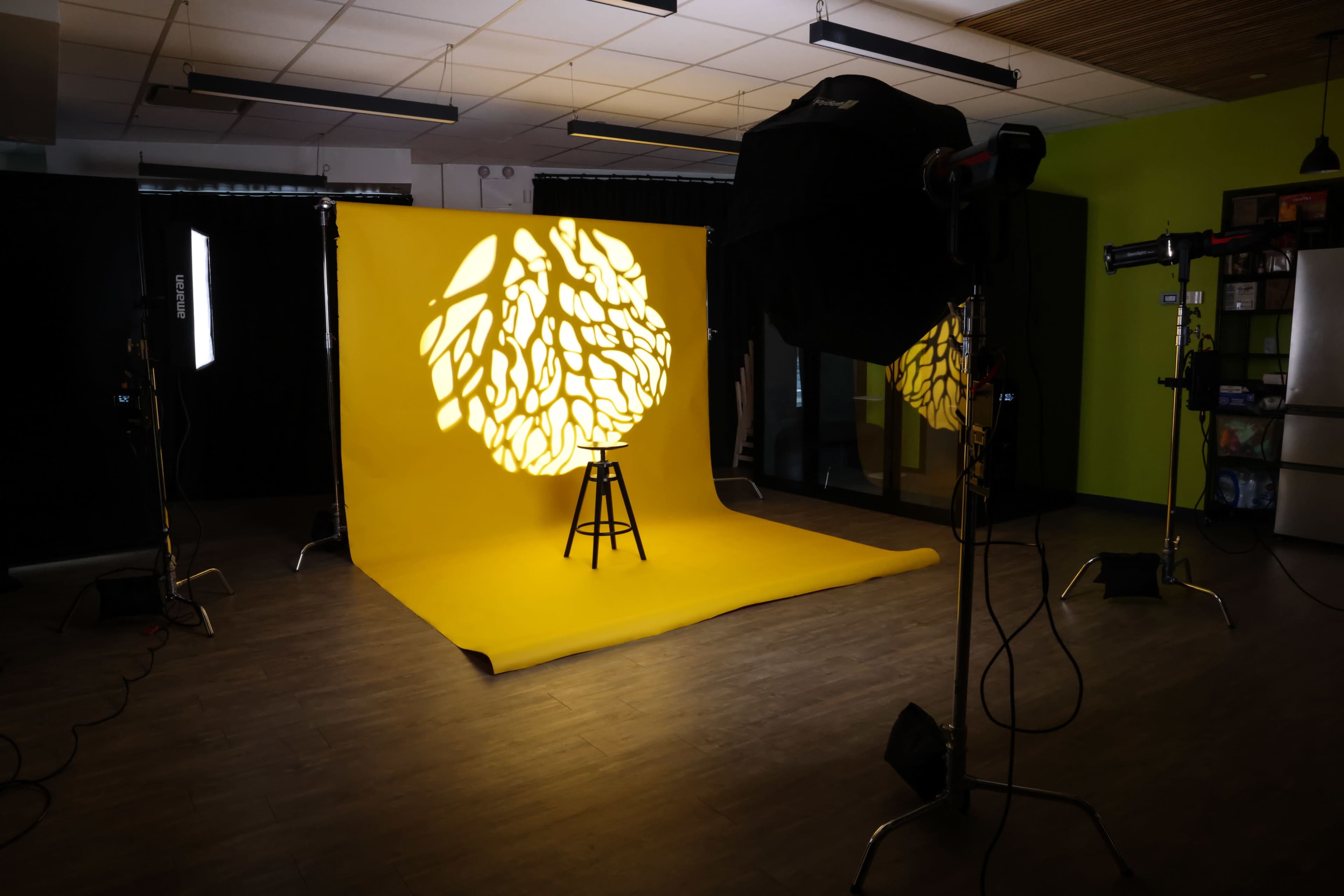 Bright and Modern Creative Studio in Brooklyn Image in Brownsville, BROOKLYN, NY