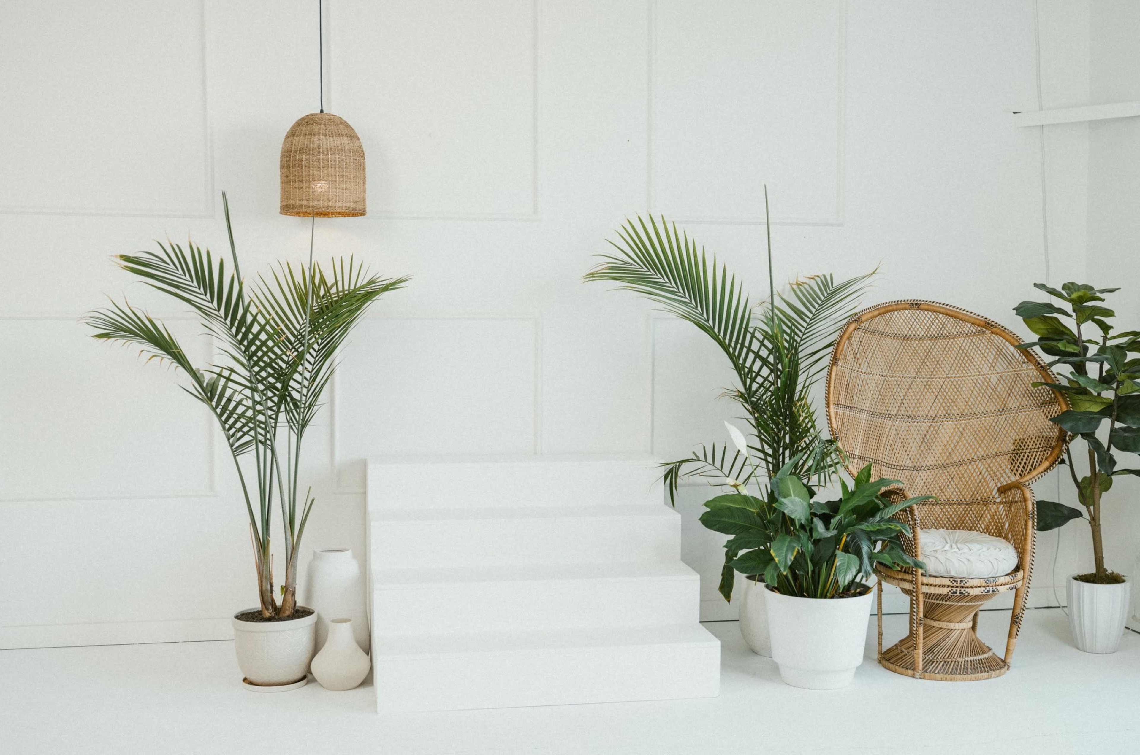 The image features a minimalist interior scene with white stairs, several potted plants, and a rattan chair under a pendant light.