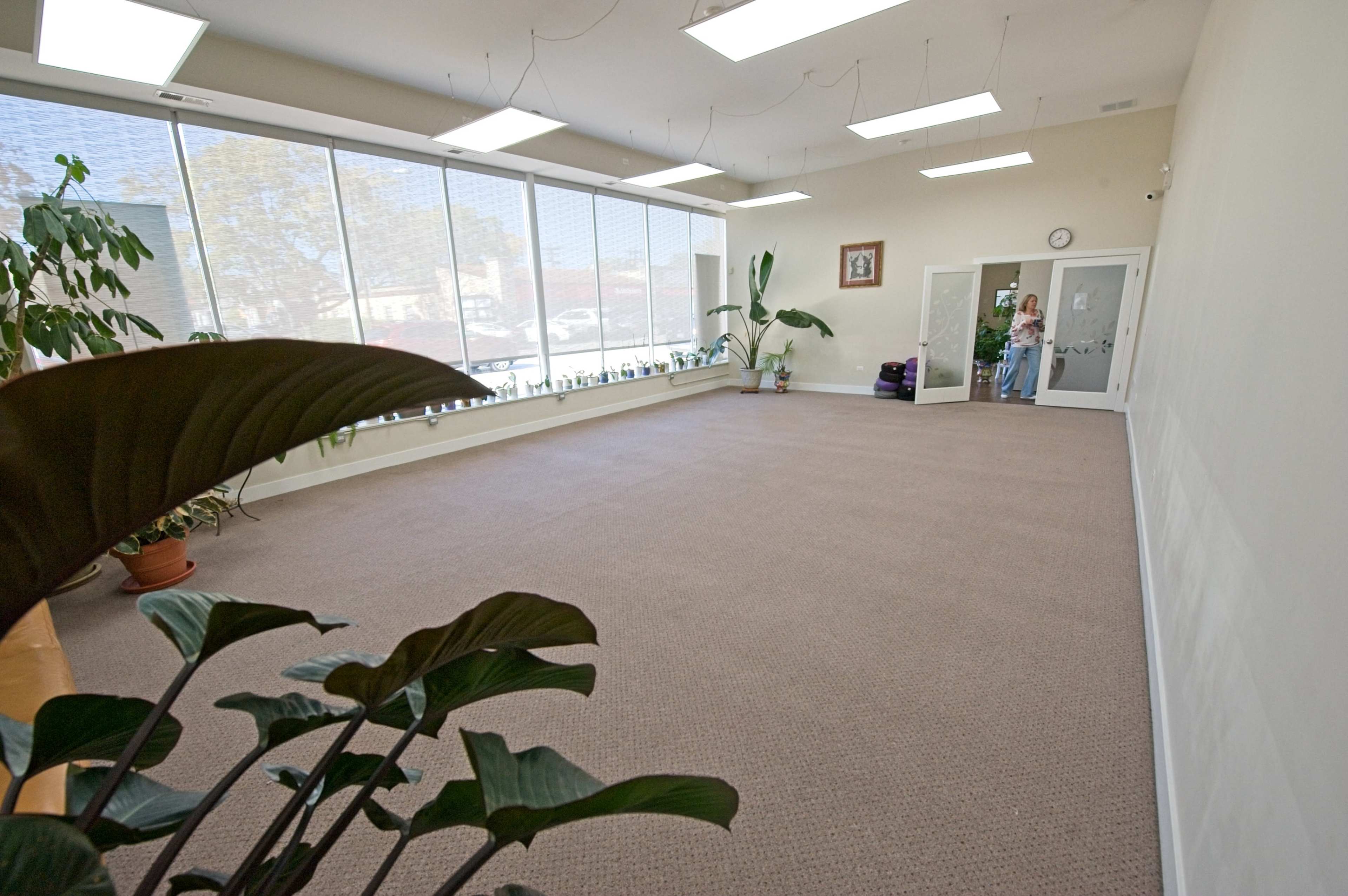 The image shows a spacious, empty room with large windows, carpeted flooring, and potted plants along the edges.