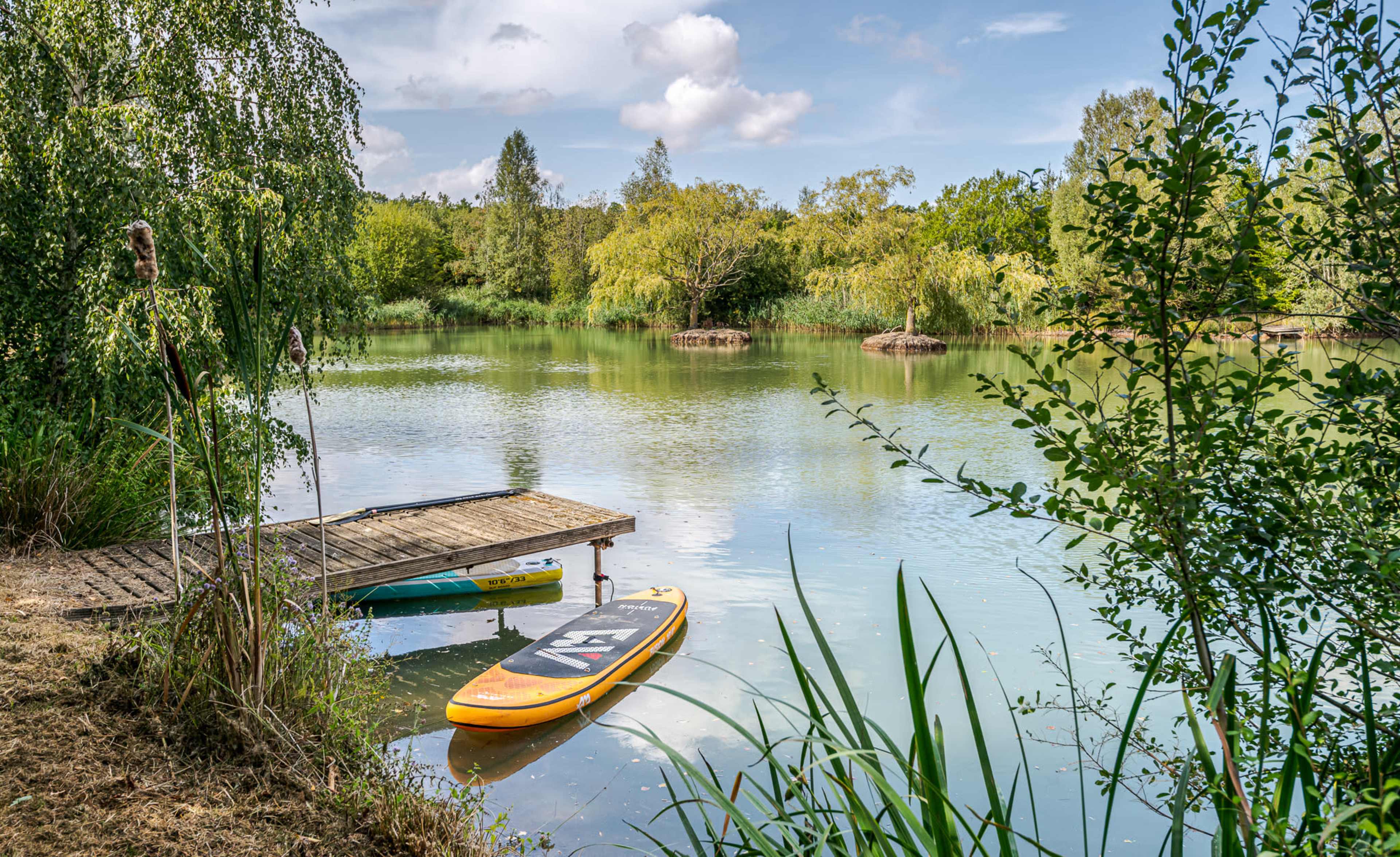A calm pond surrounded by greenery features a wooden dock with two paddleboards resting nearby.