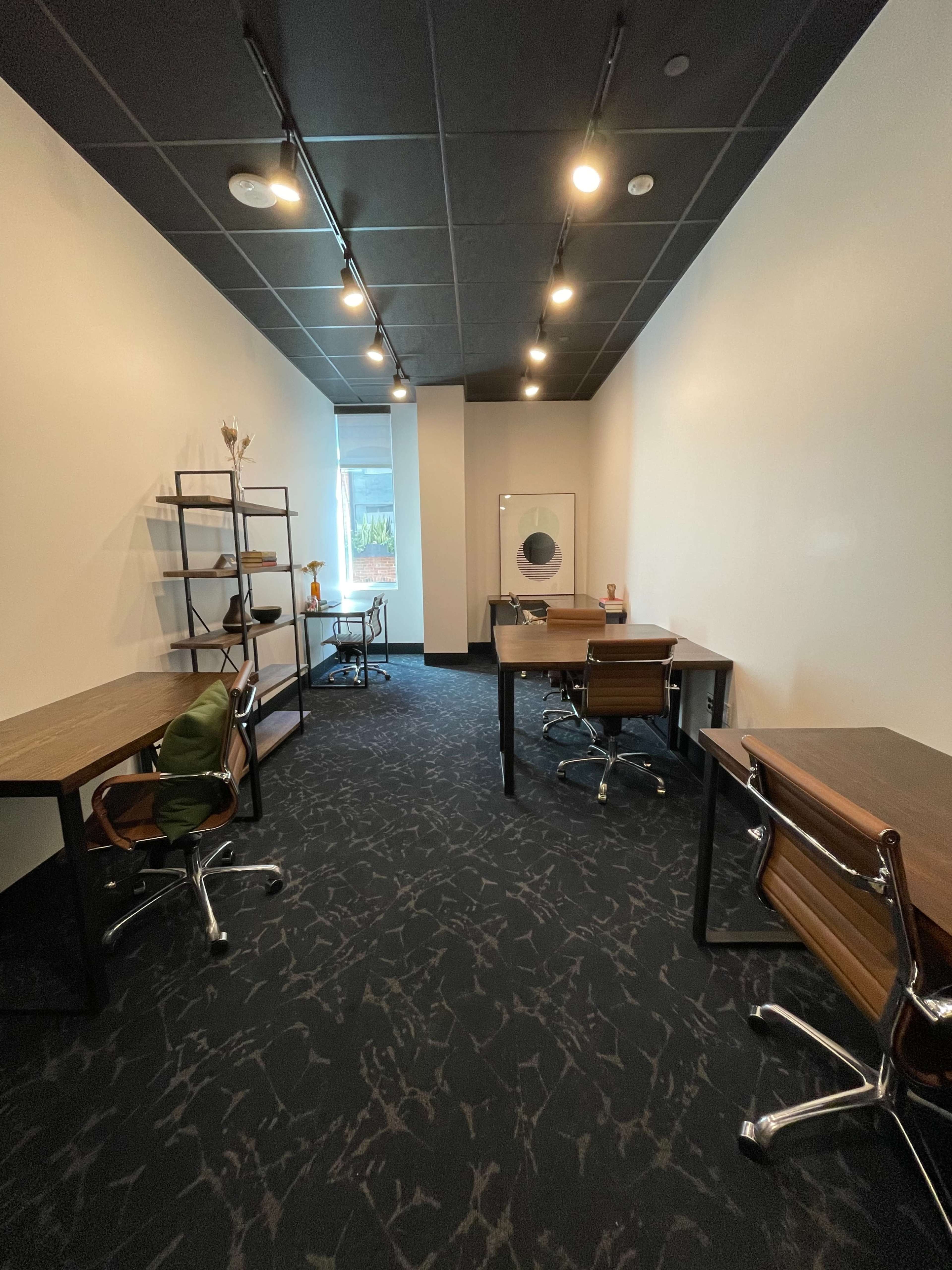 Day Office #2 with Window Views Image in Ballpark District, Denver, CO