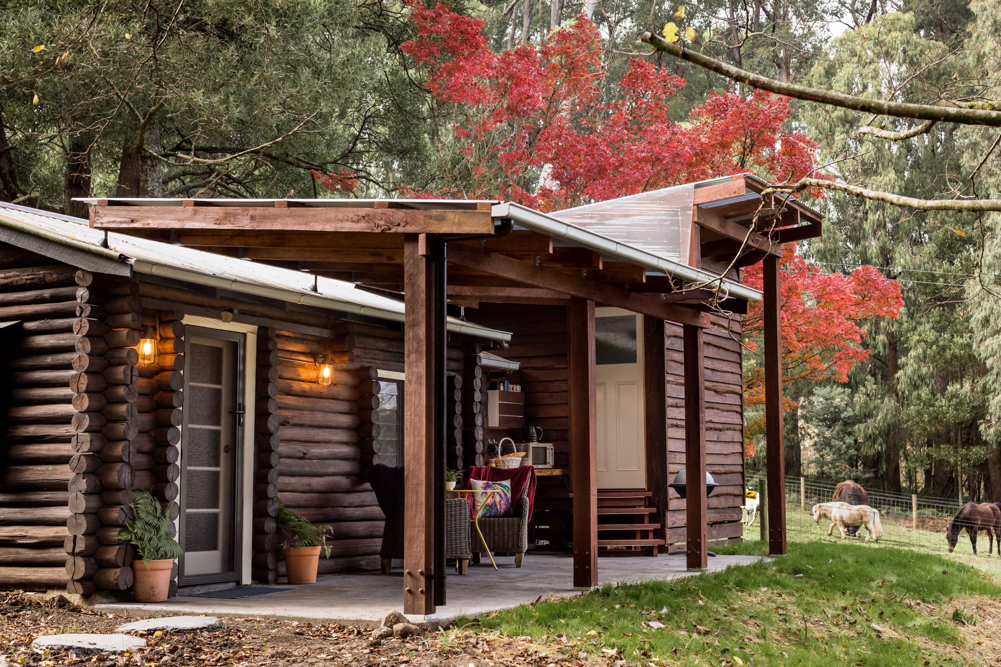 A wooden log cabin with a porch is nestled among trees, showcasing vibrant autumn foliage in the background.
