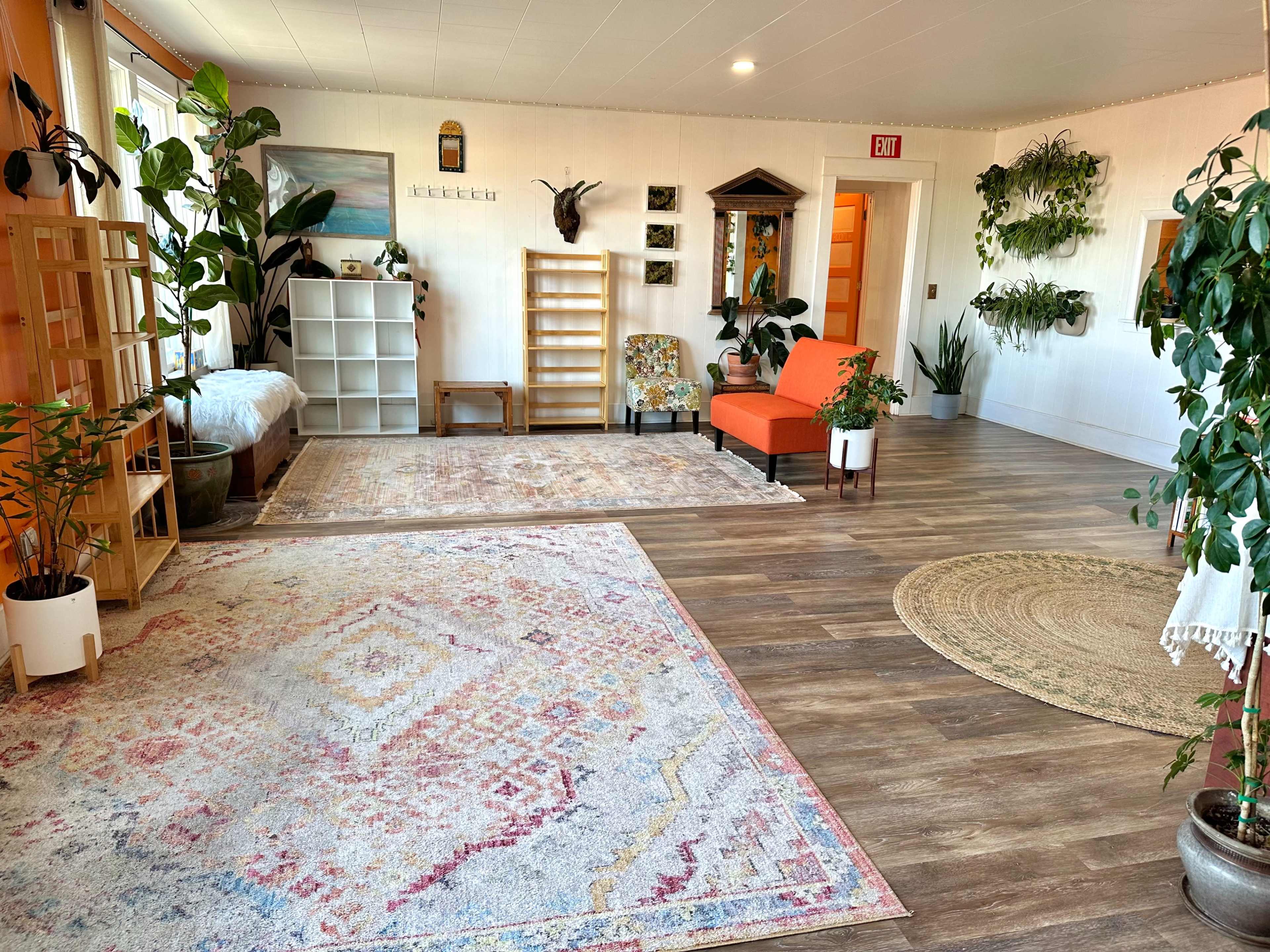 A spacious room with wooden flooring, featuring plants, shelving units, an orange chair, and decorative rugs.