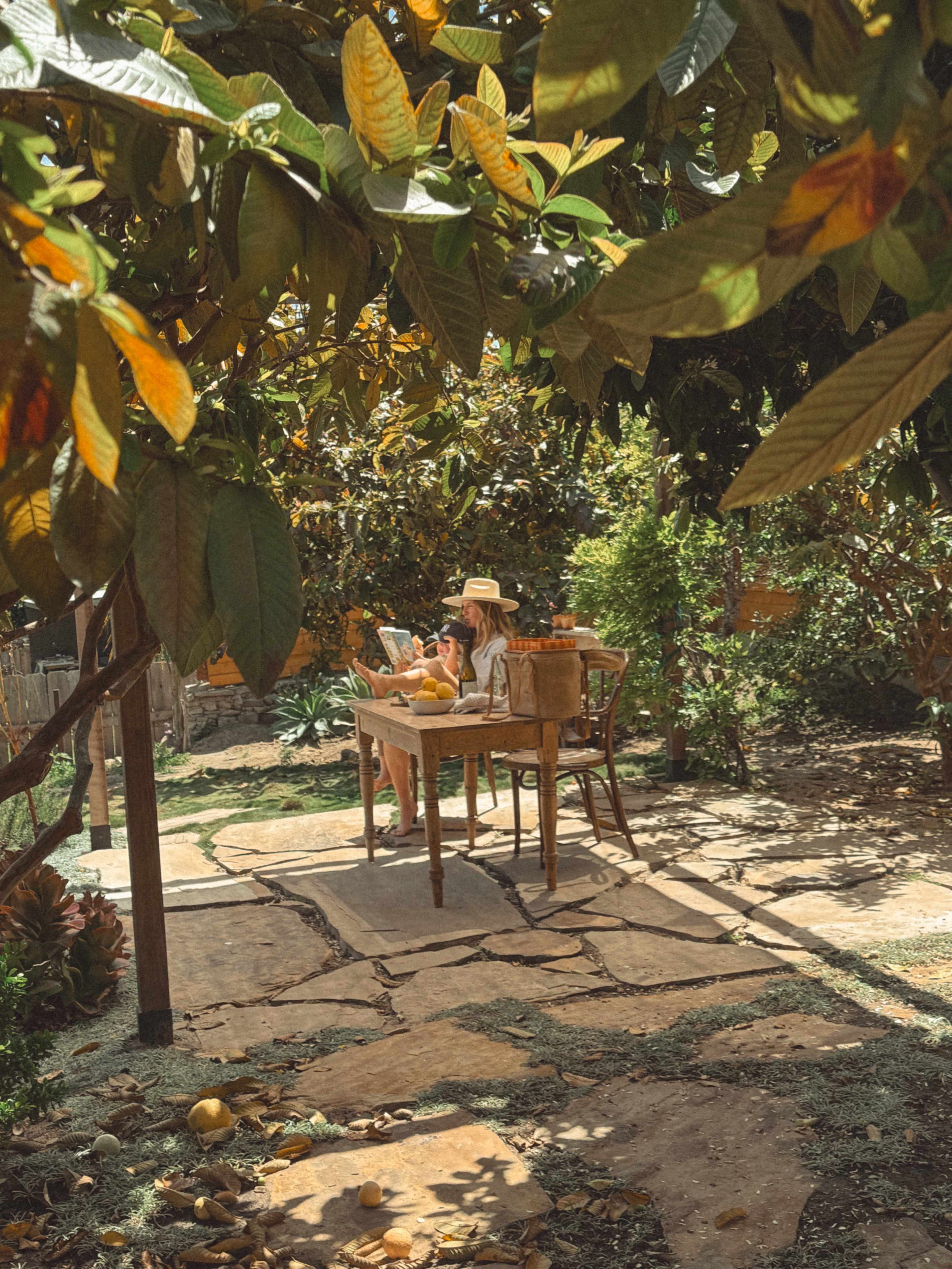 A person sits at a wooden table in a garden, surrounded by greenery and fruit trees.