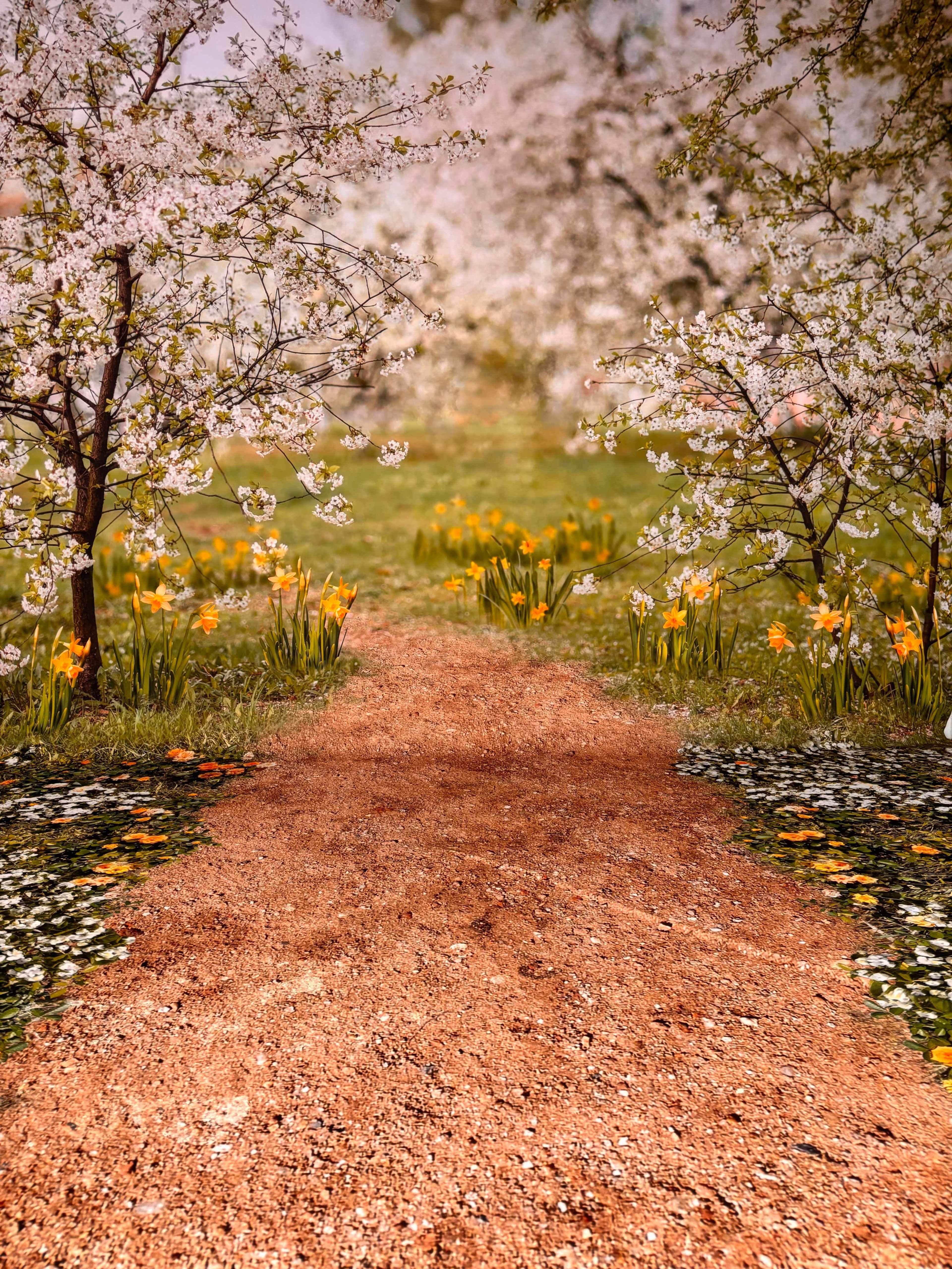 A winding dirt path surrounded by blooming flowers and trees leads into a lush green area.
