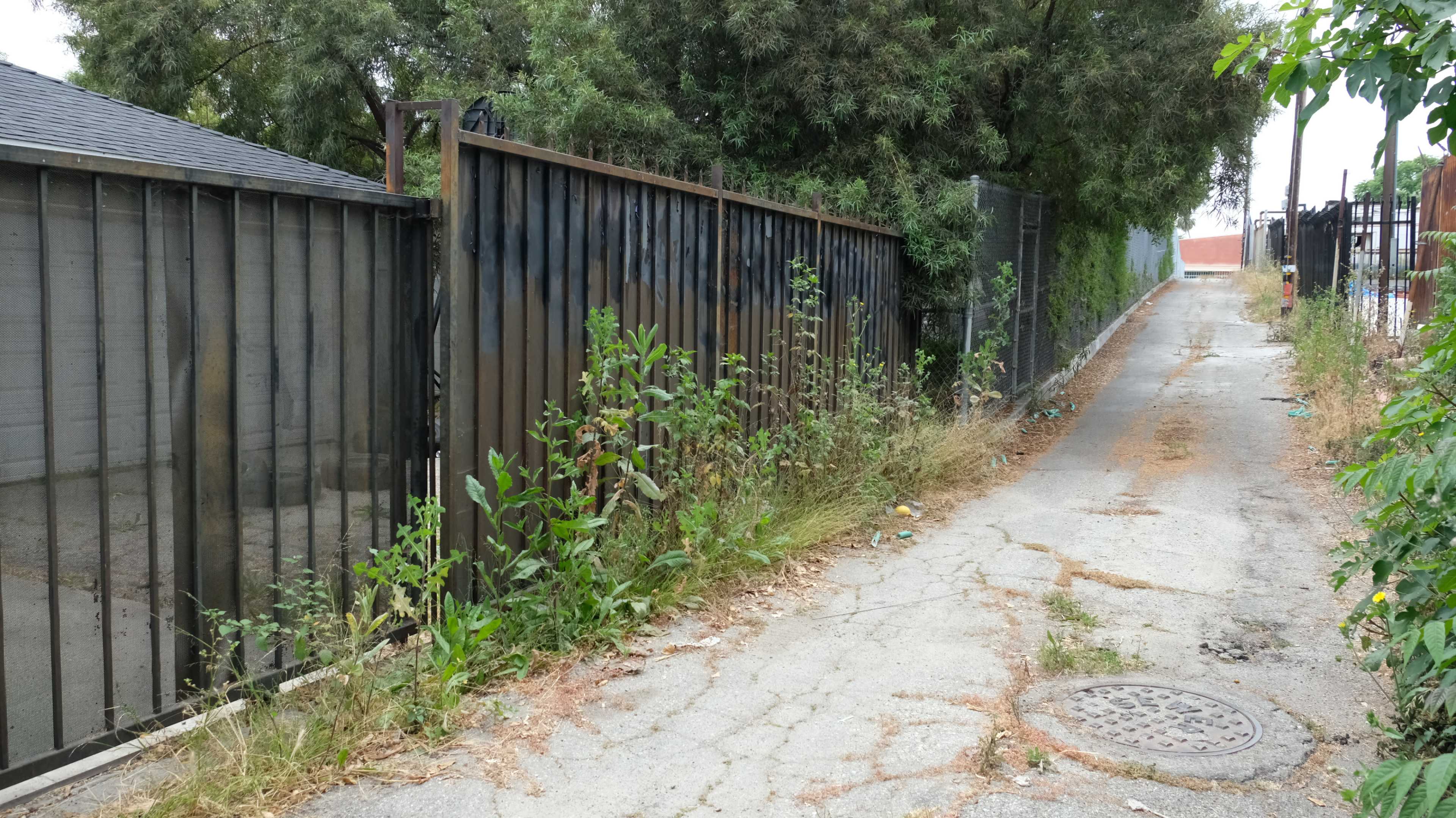 A narrow, overgrown alley flanked by metal fences leads uphill between two buildings.