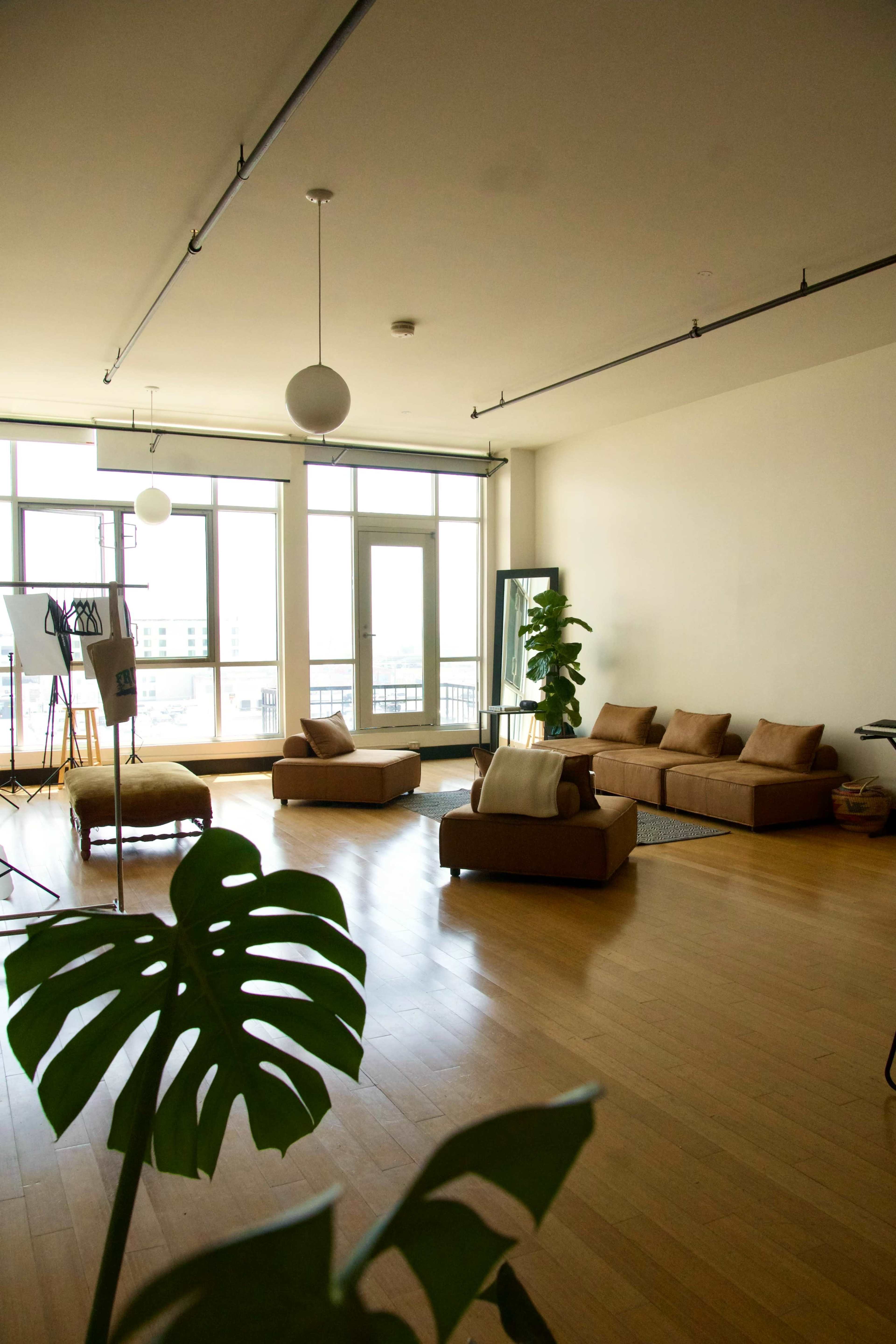 A spacious, minimalist living room with a large window, several couches, and a plant in the foreground.