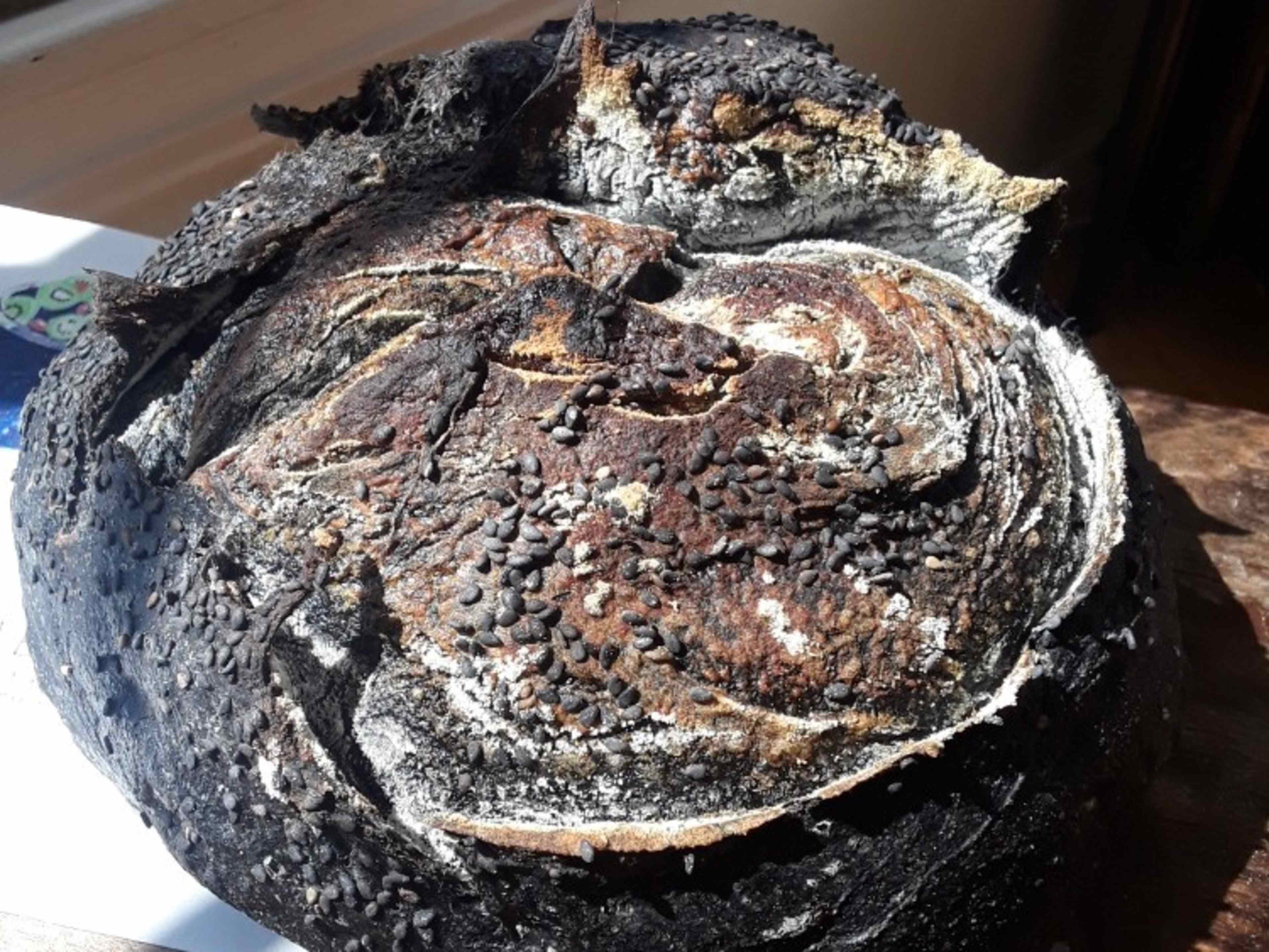 100% Wild Fermentation Sourdough Loaves