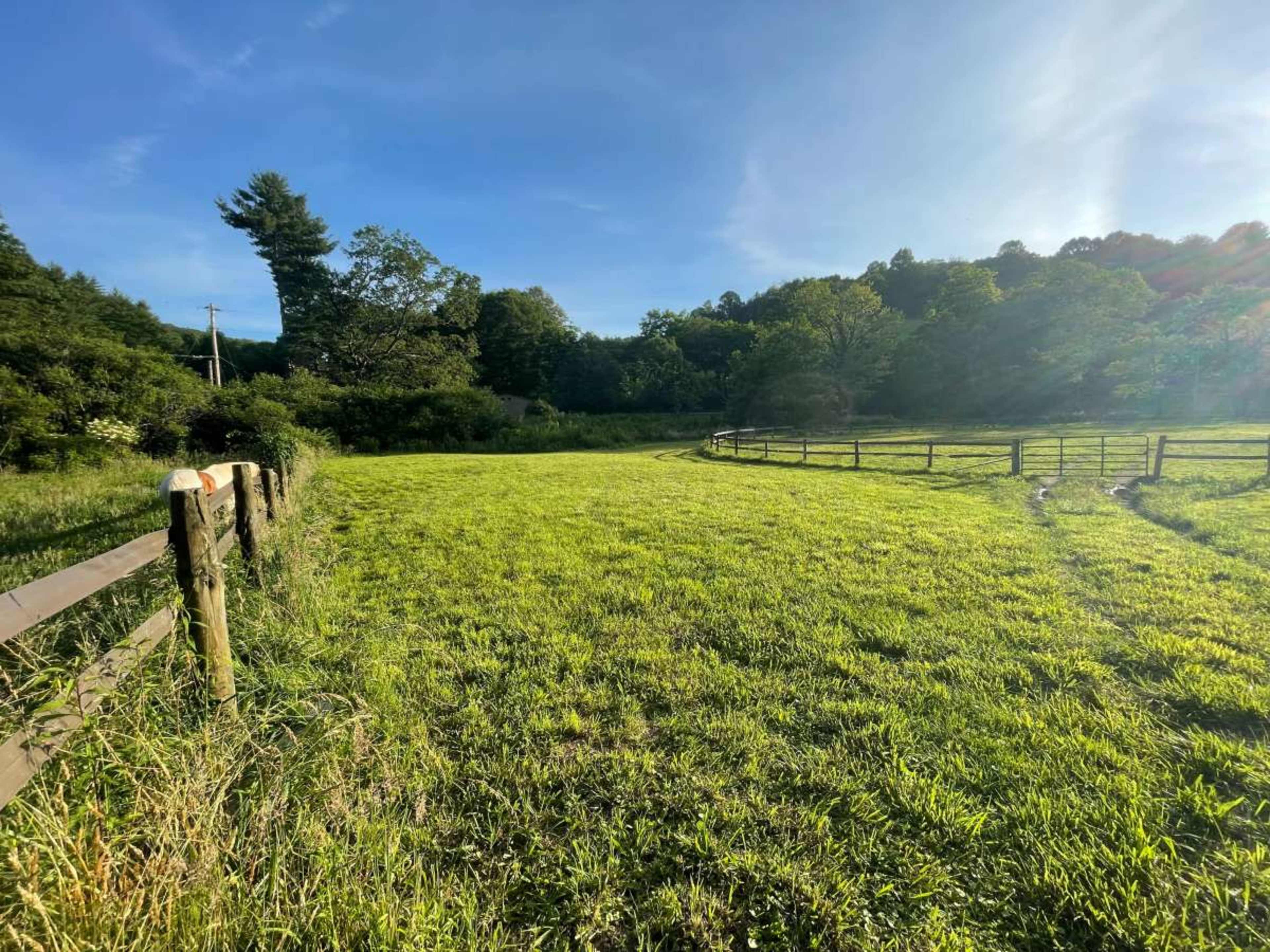 Pastoral Acreage with Creek, Barn, Pond, Waterfall Image in , Scaly Mountain, NC