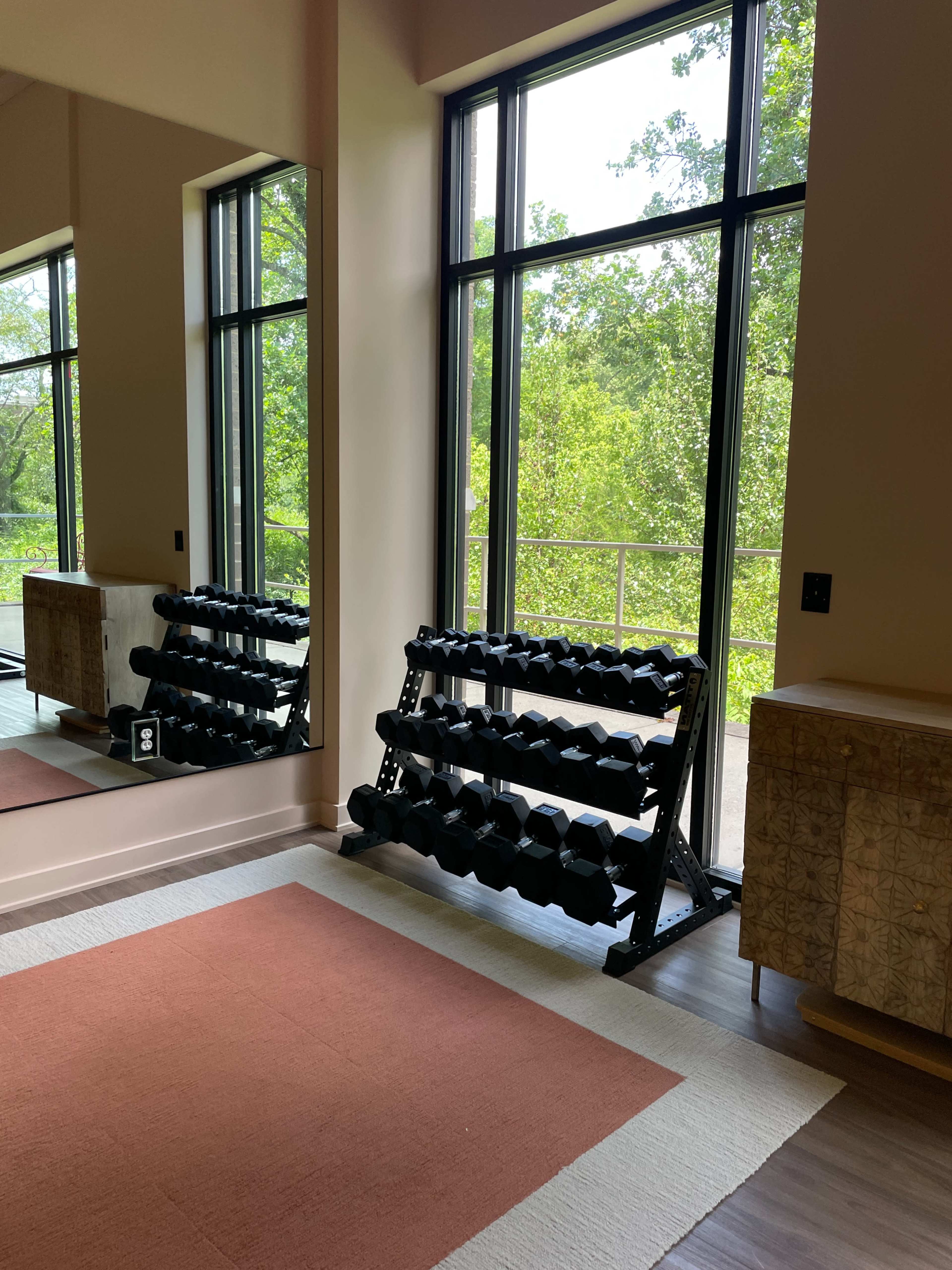 A rack of dumbbells is positioned beside a large window that overlooks a green landscape, with a mirror reflecting the space.