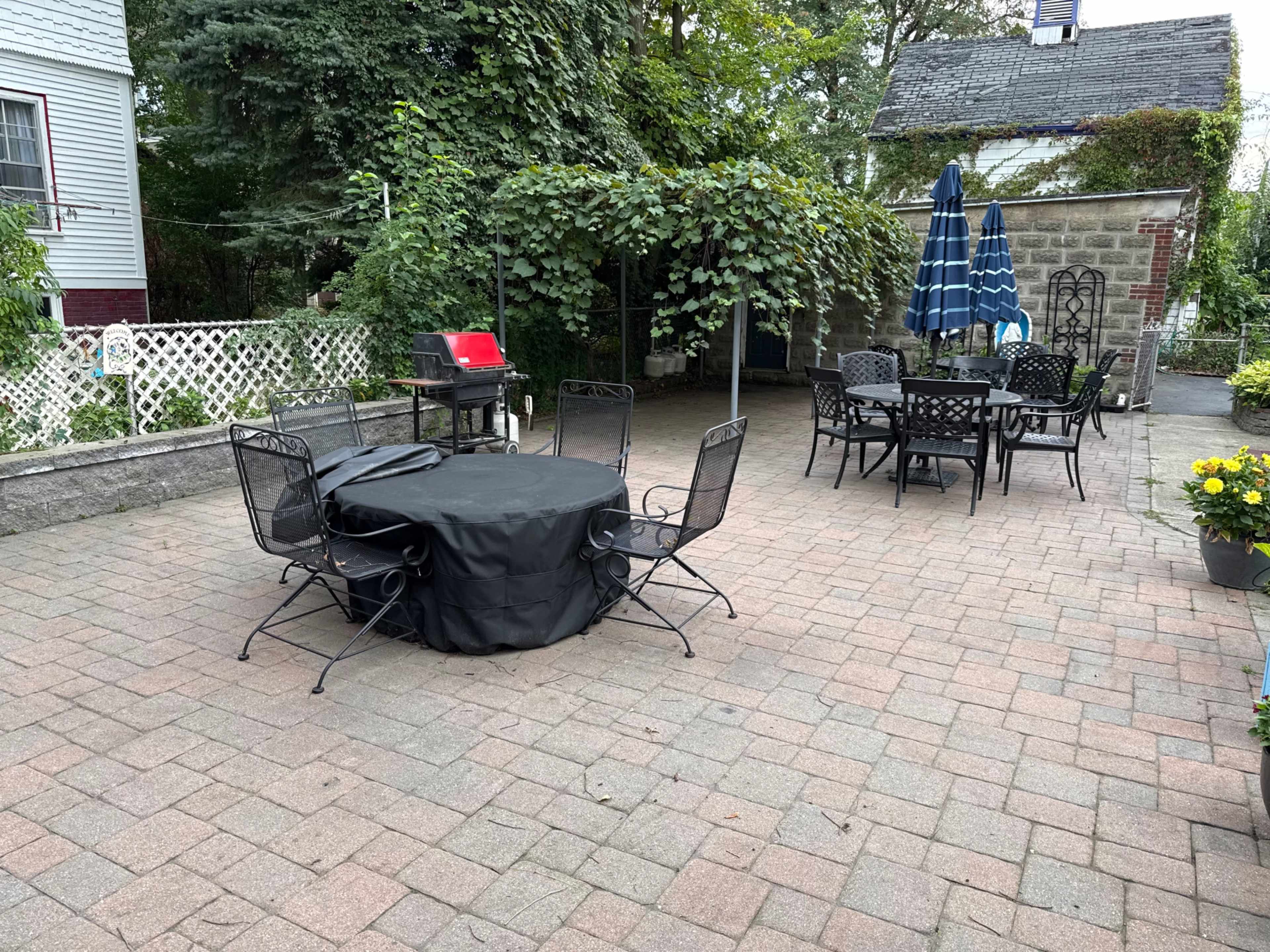Expansive  Backyard & Patio in the City Image in West Somerville, Somerville, MA