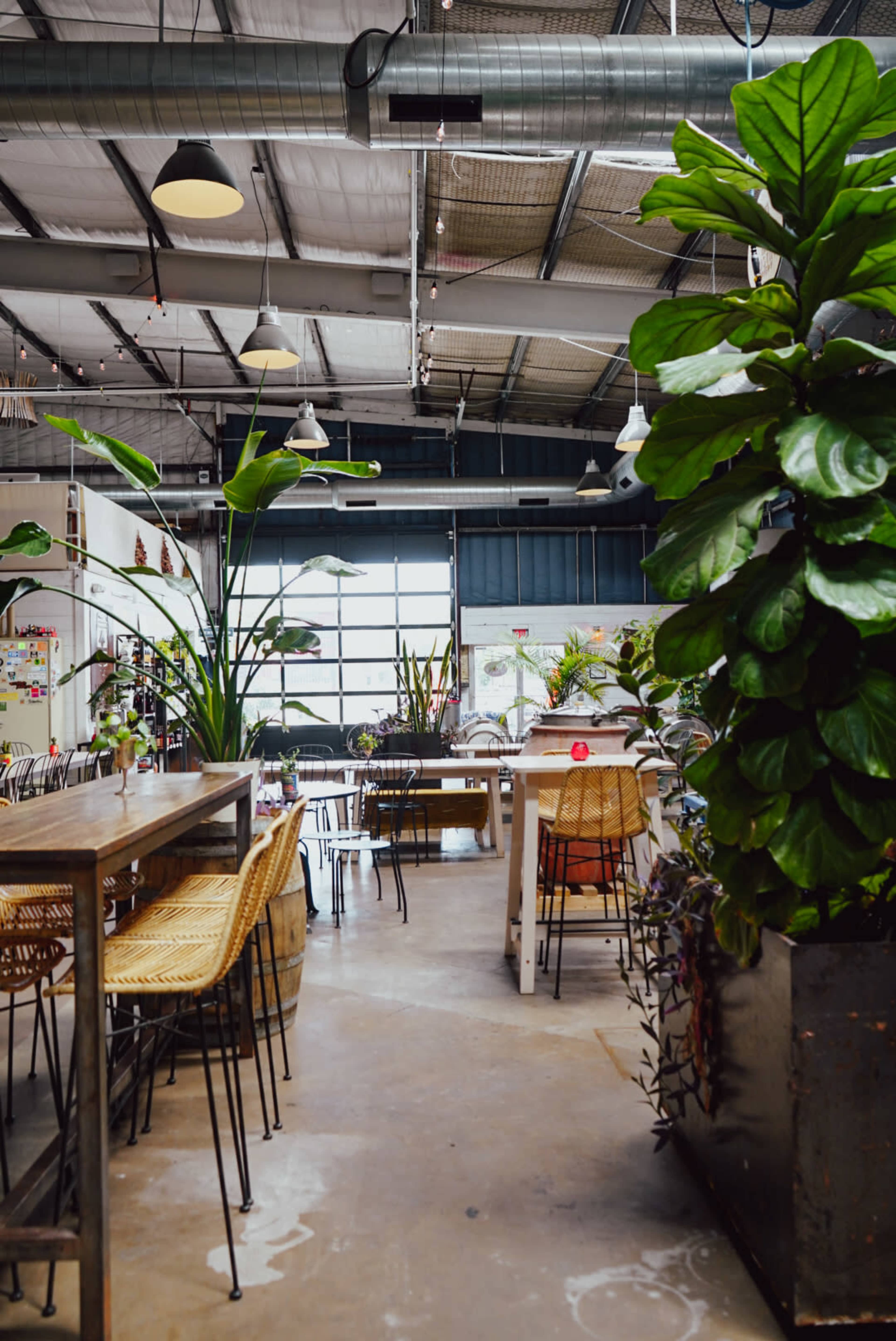 Urban Winery off of South Congress Image in East Congress, Austin, TX