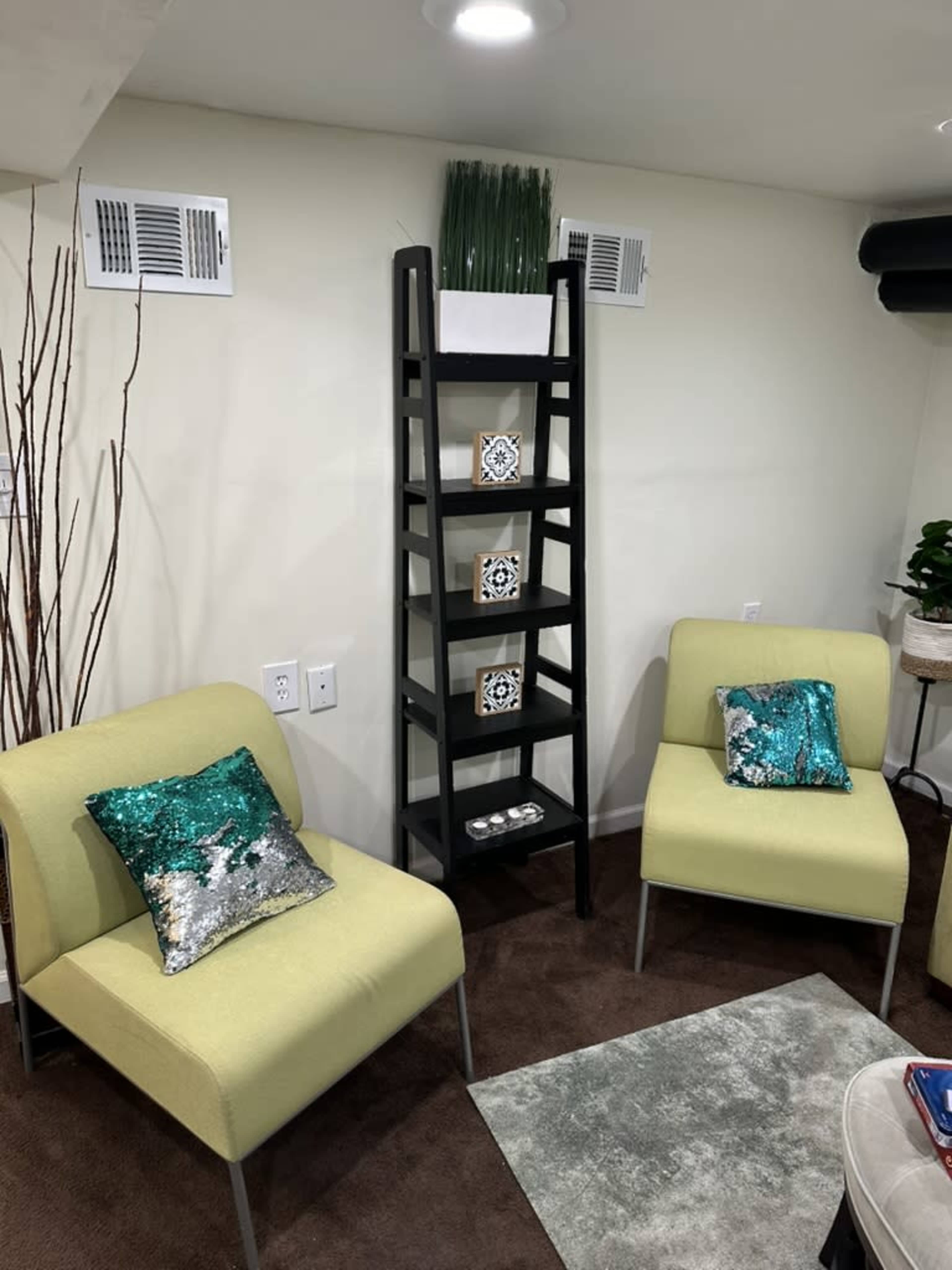The image shows a cozy corner featuring two green chairs with decorative throw pillows, a black shelving unit with plants and decor, and a small rug on a brown carpeted floor.