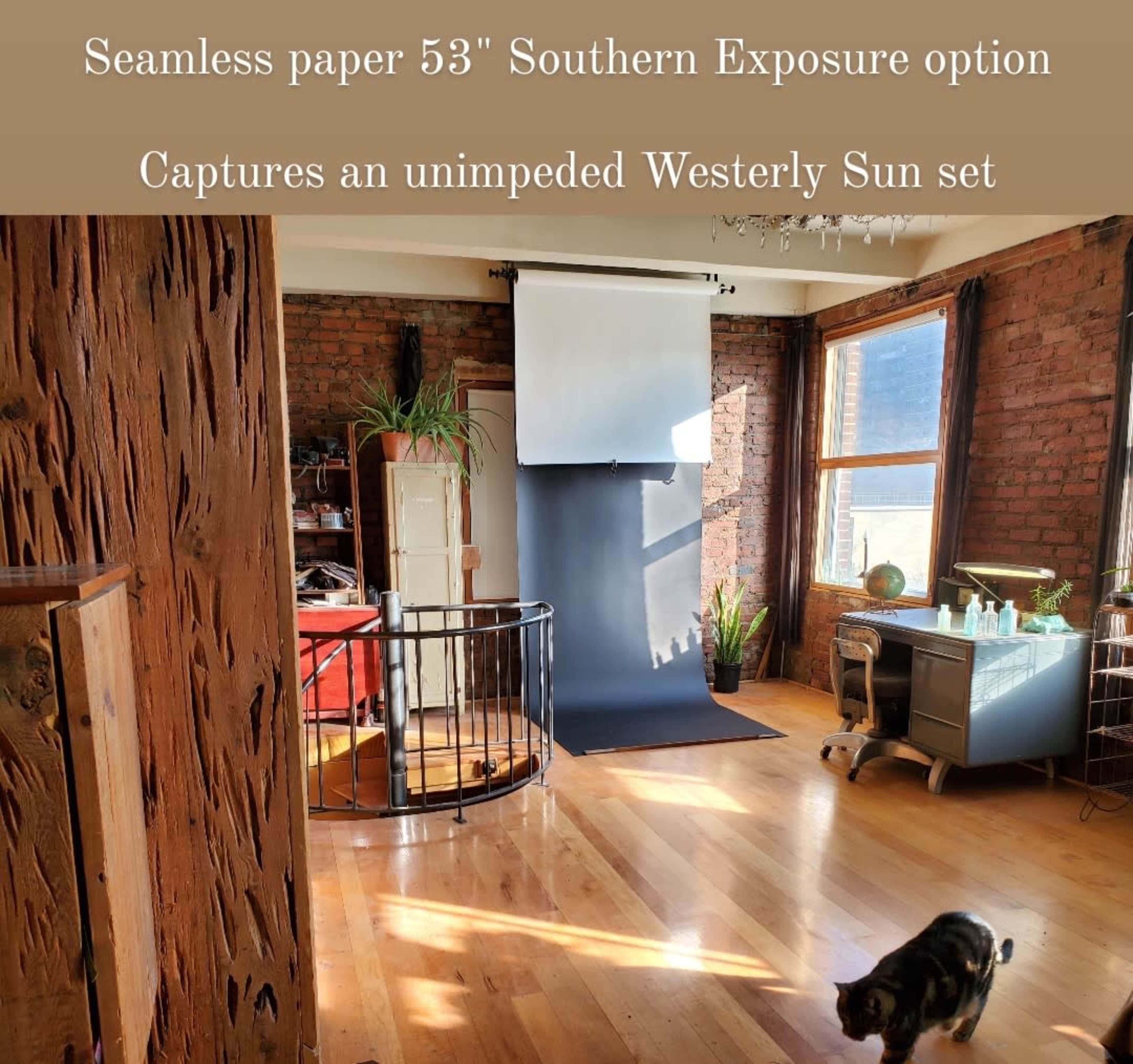 A well-lit room with wooden floors, brick walls, a seamless black backdrop set up for photography, and a cat walking across the floor.