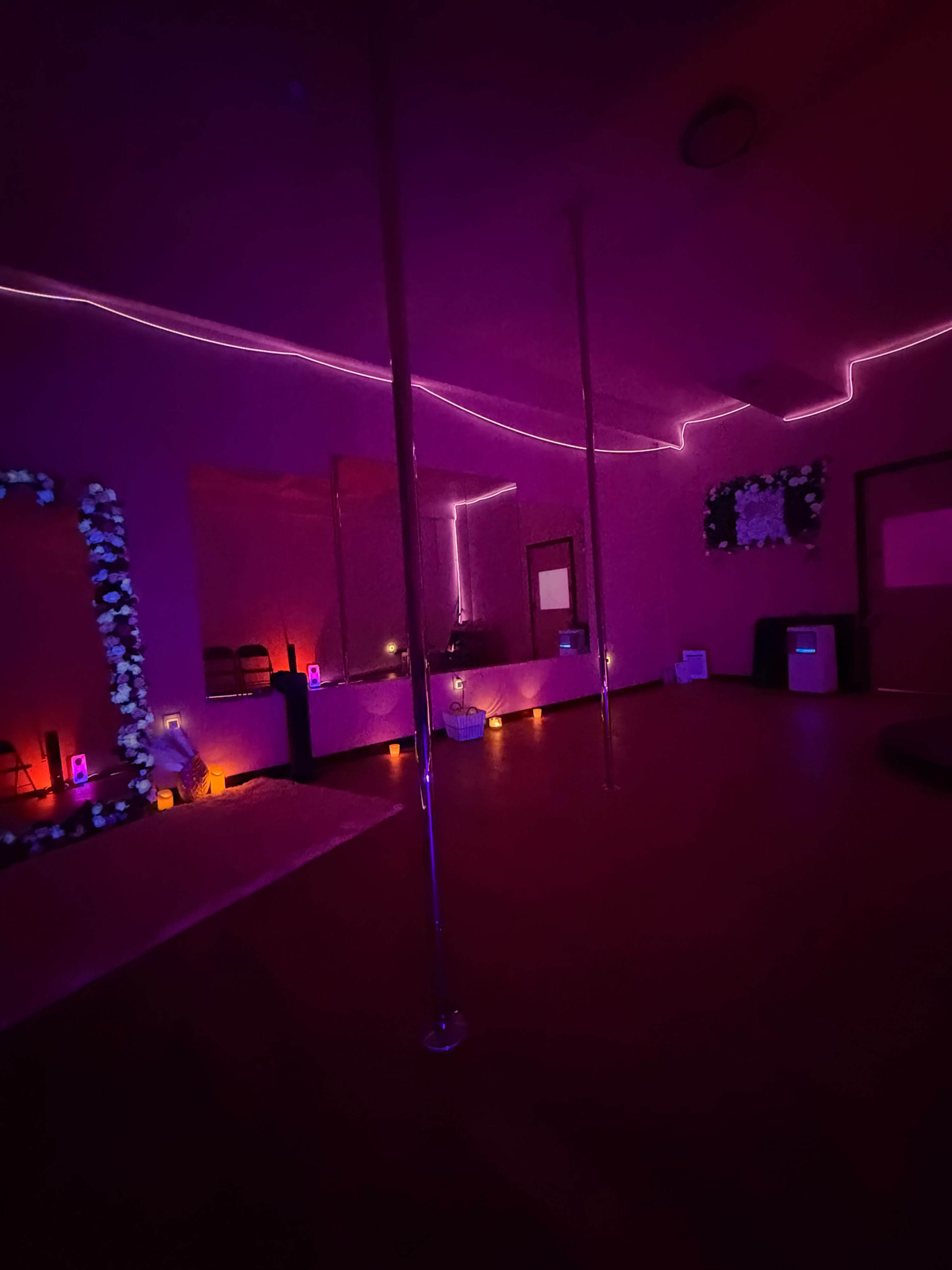 The image shows a dimly lit studio with purple ambient lighting, featuring two vertical poles and mirrored walls decorated with flowers.