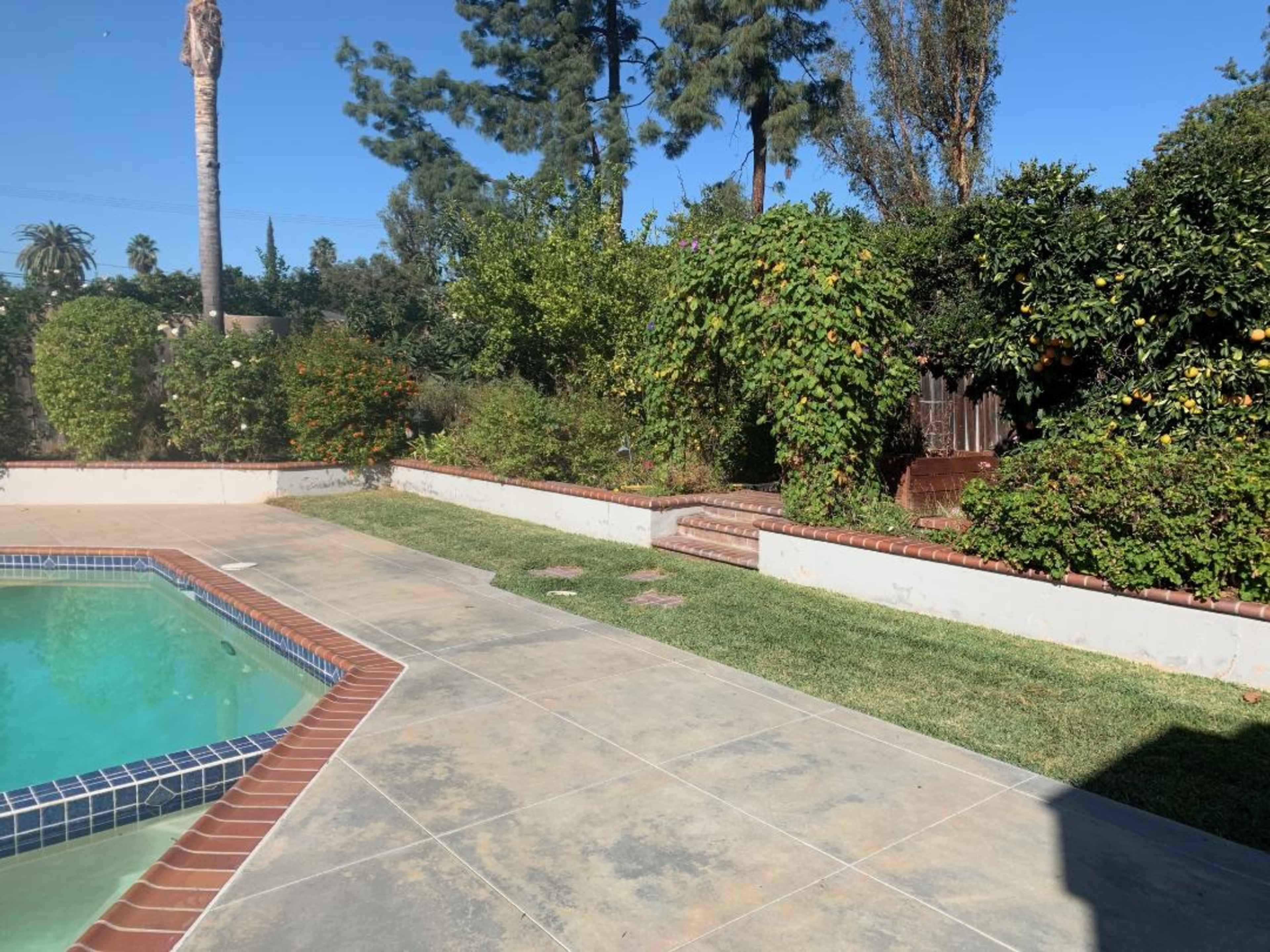 A backyard with a swimming pool, surrounded by greenery and trees, and a pathway leading to a set of stairs.
