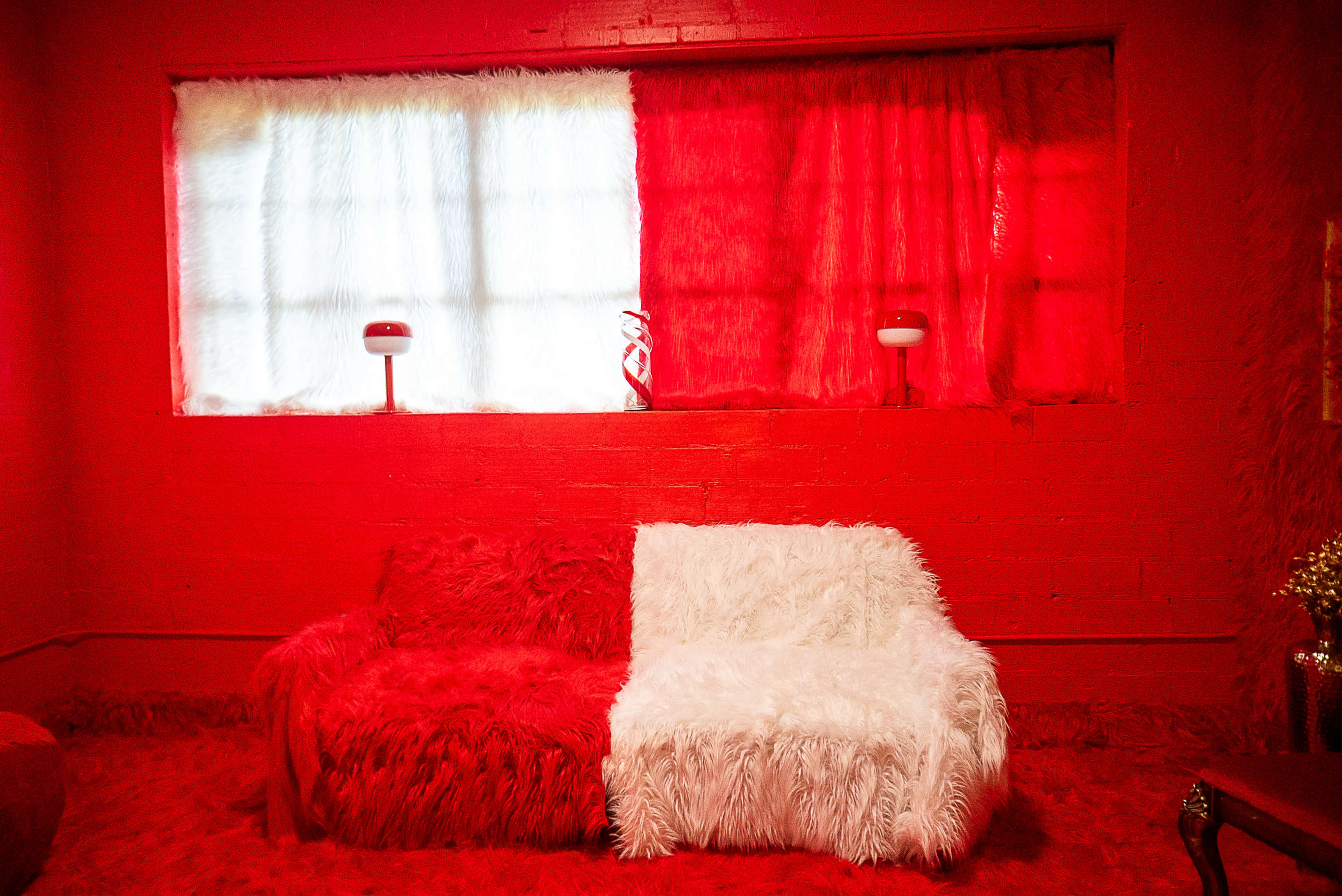 Red Fur Room ByxStudios Image in Lawndale / Wayside, Houston, TX