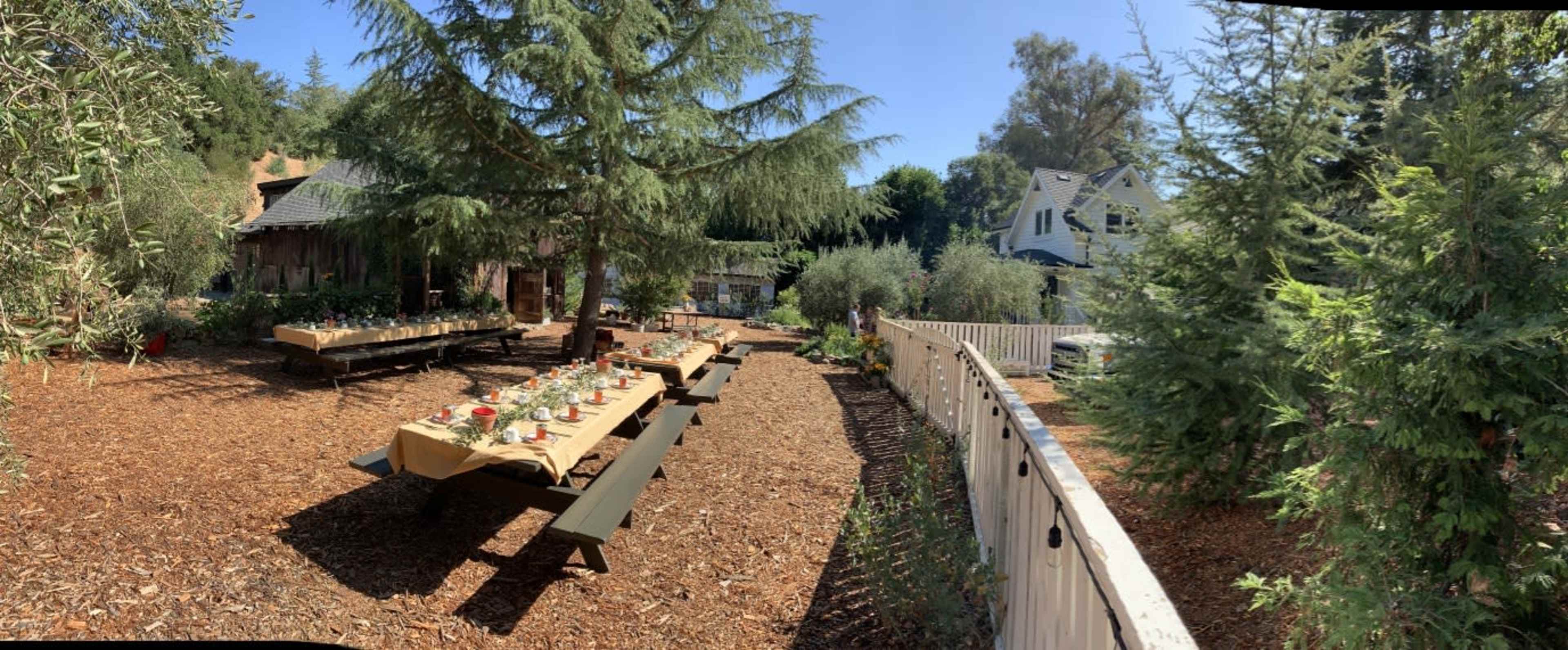 A garden area features picnic tables set with plants, surrounded by trees and a white fence, with houses visible in the background.