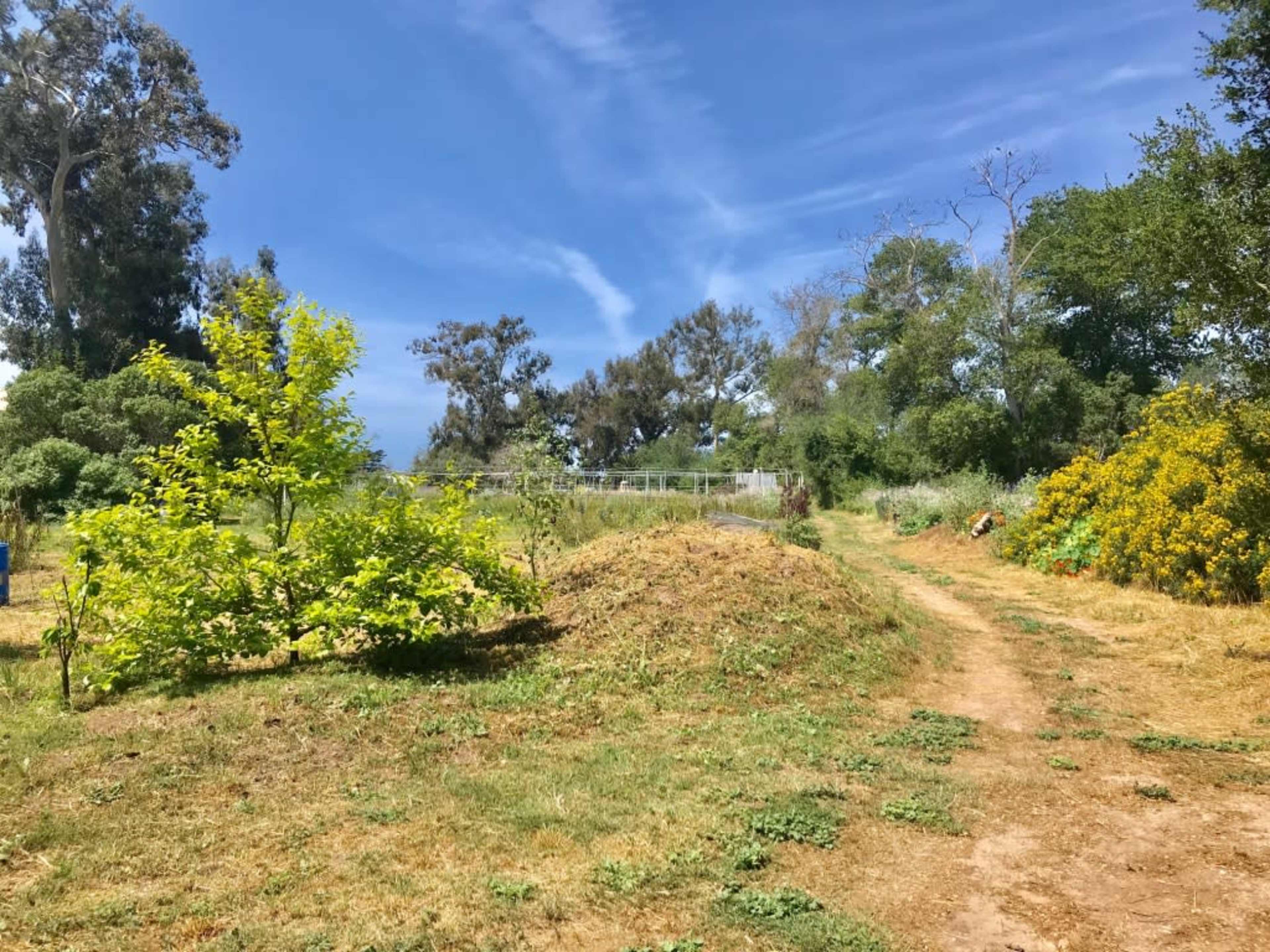 Beautiful Beach side Farm for Events and filming Image in Carpinteria, Carpinteria, CA