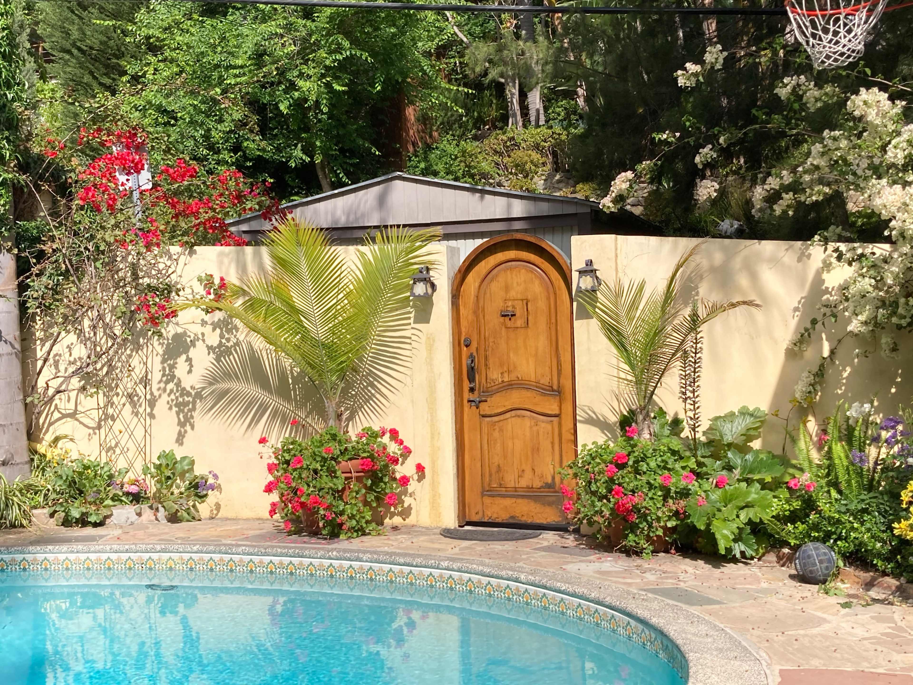 The image shows a swimming pool surrounded by vibrant flowers and greenery, with a wooden door set in a wall in the background.
