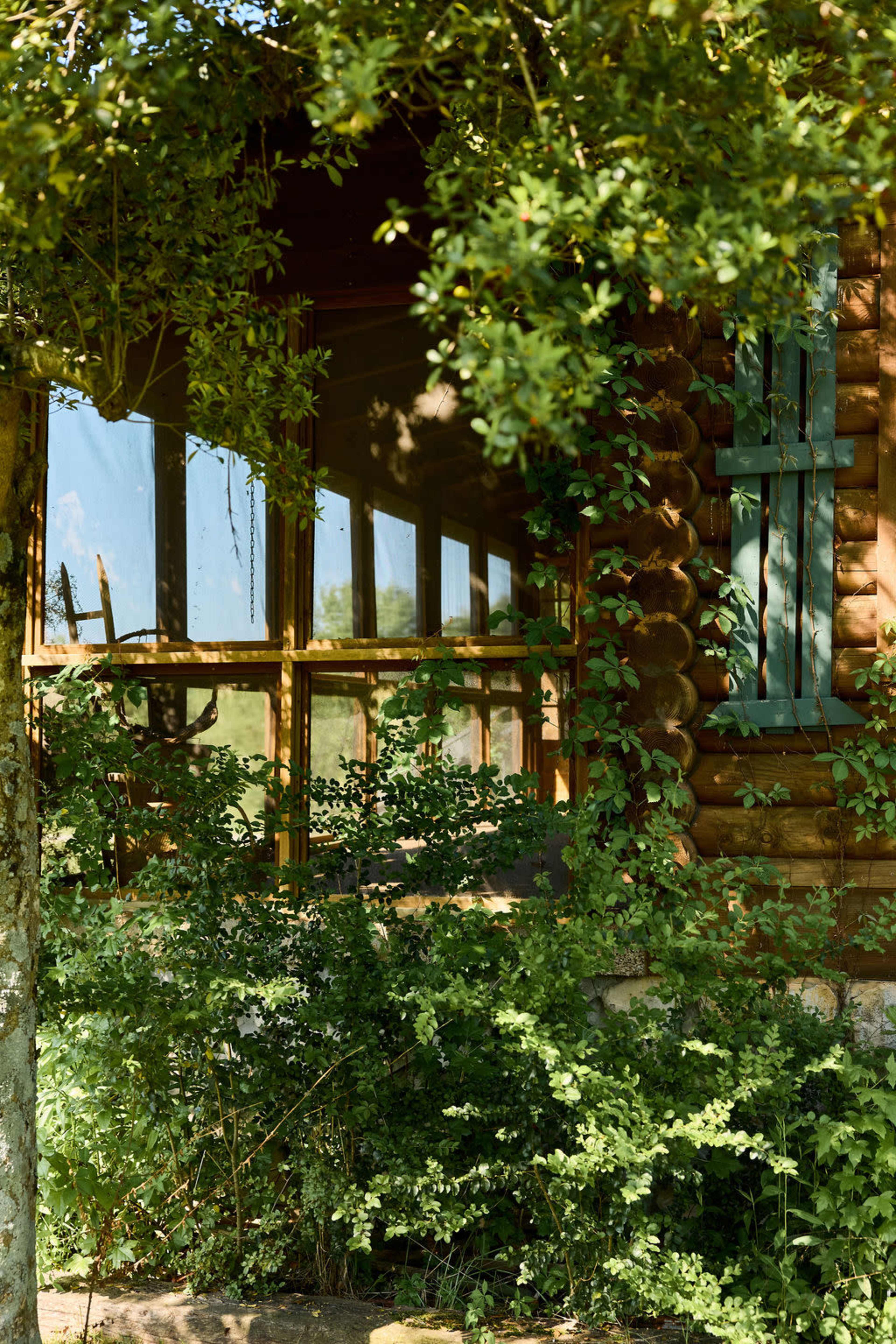 Country Cabin on 5 acres Image in , chapmansboro, TN