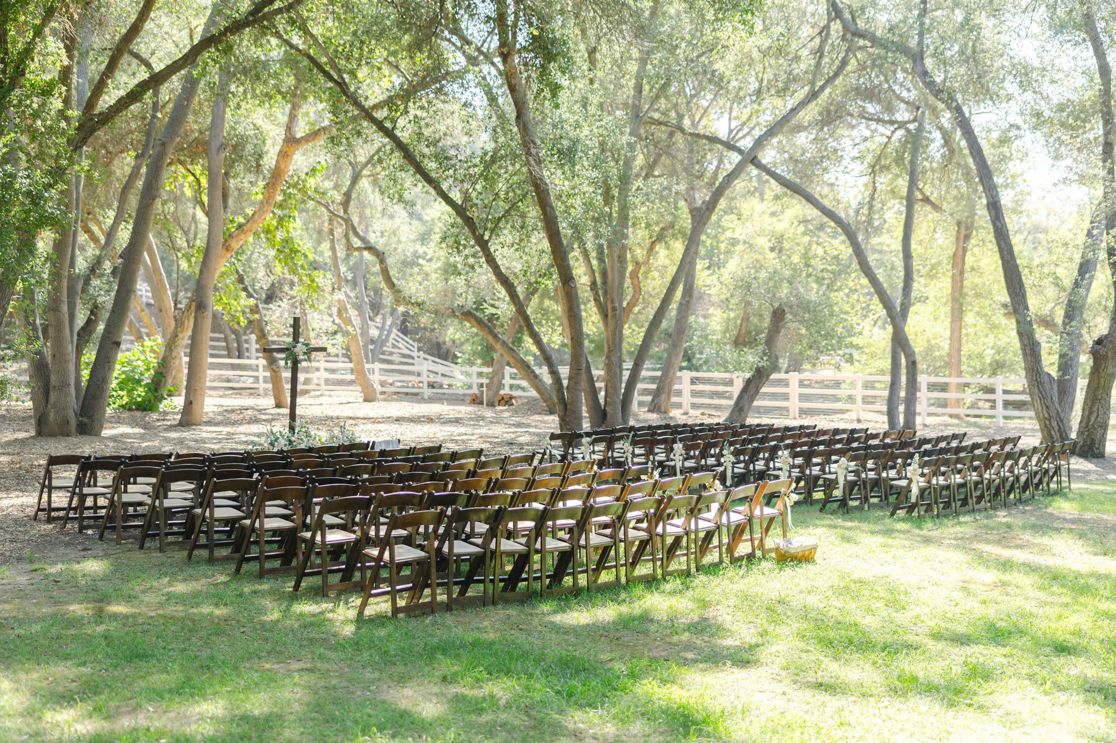 A row of wooden chairs is arranged in a semi-circle in a shaded outdoor area surrounded by trees.