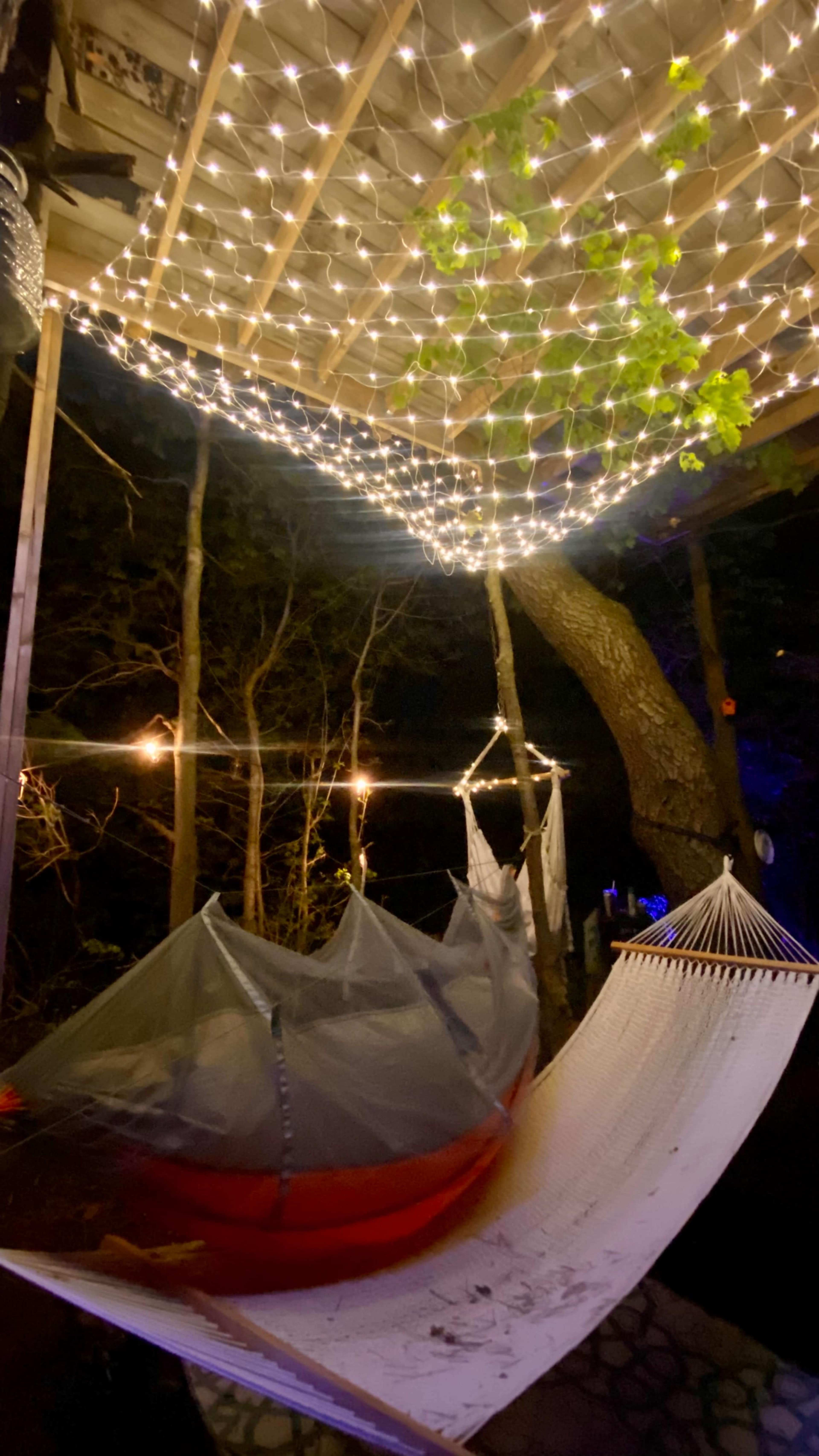 A hammock is suspended beneath a canopy of string lights and leaves, creating a cozy outdoor space in a forested area.