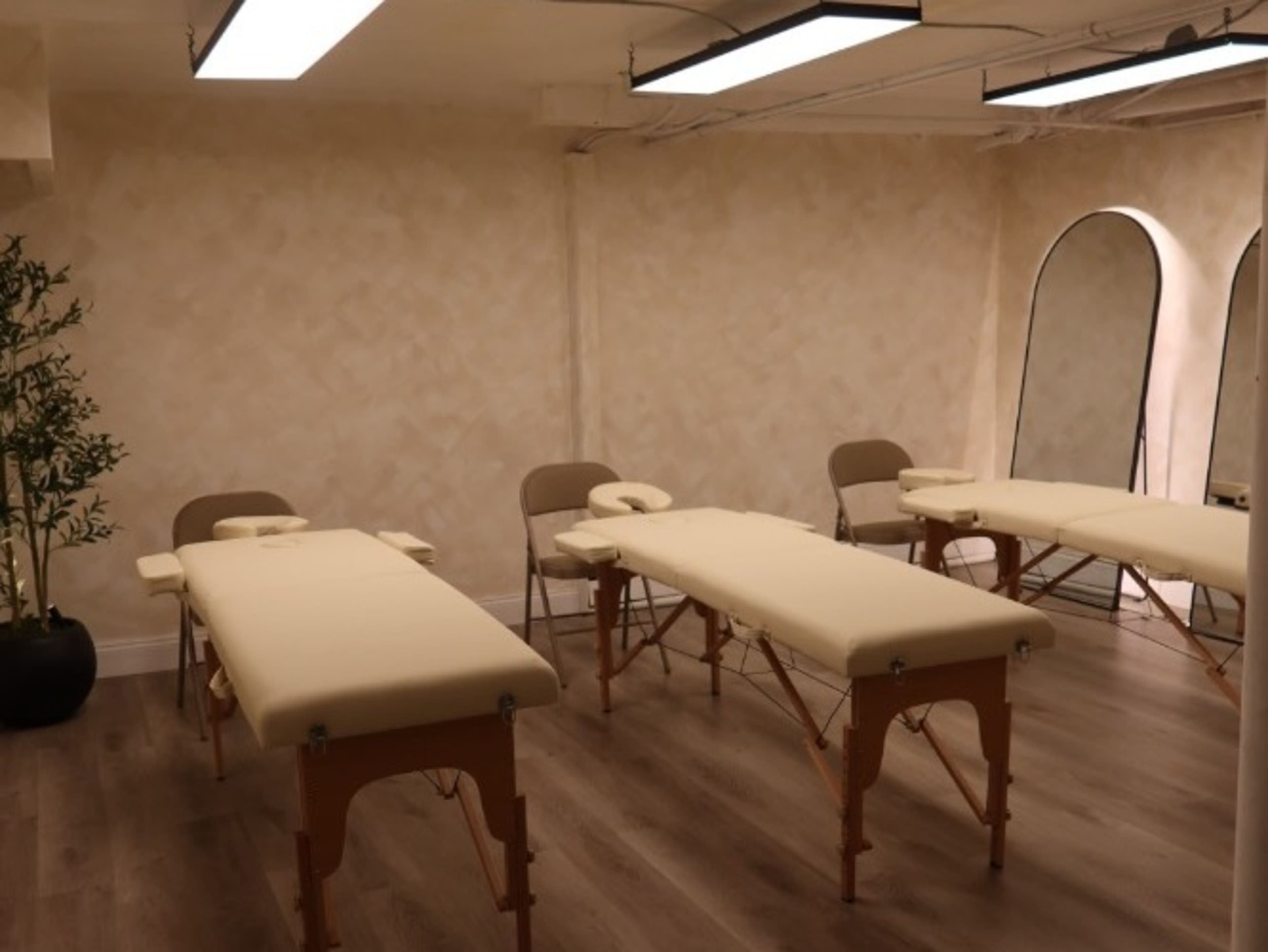 Foldable Massage/Practice Beds