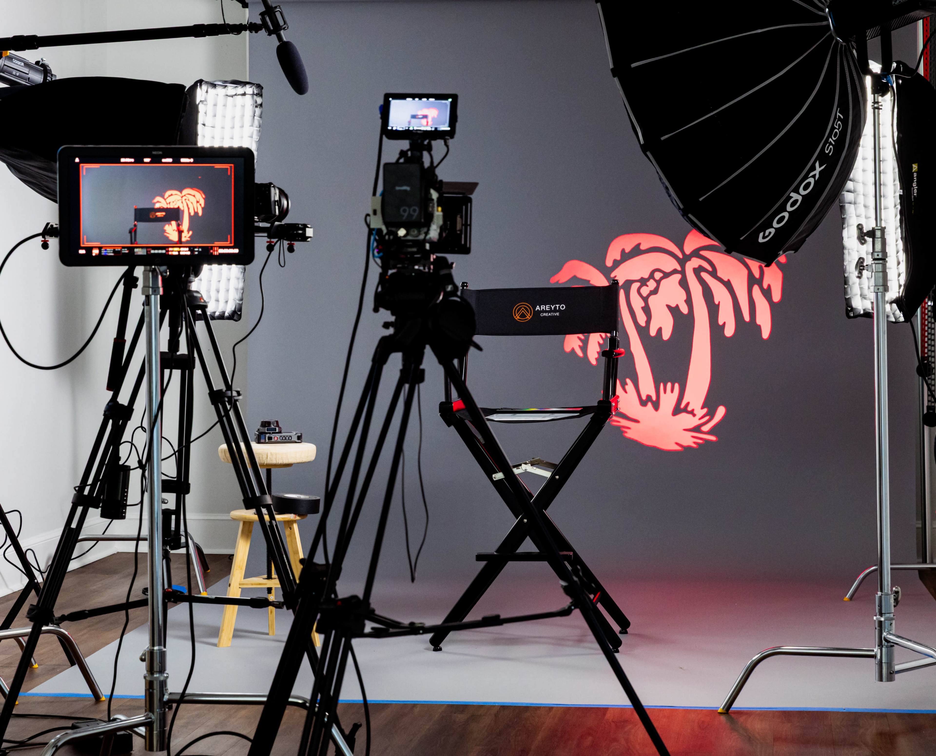 The image shows a film or photography studio setup with multiple cameras, lighting equipment, and a backdrop featuring a palm tree design.