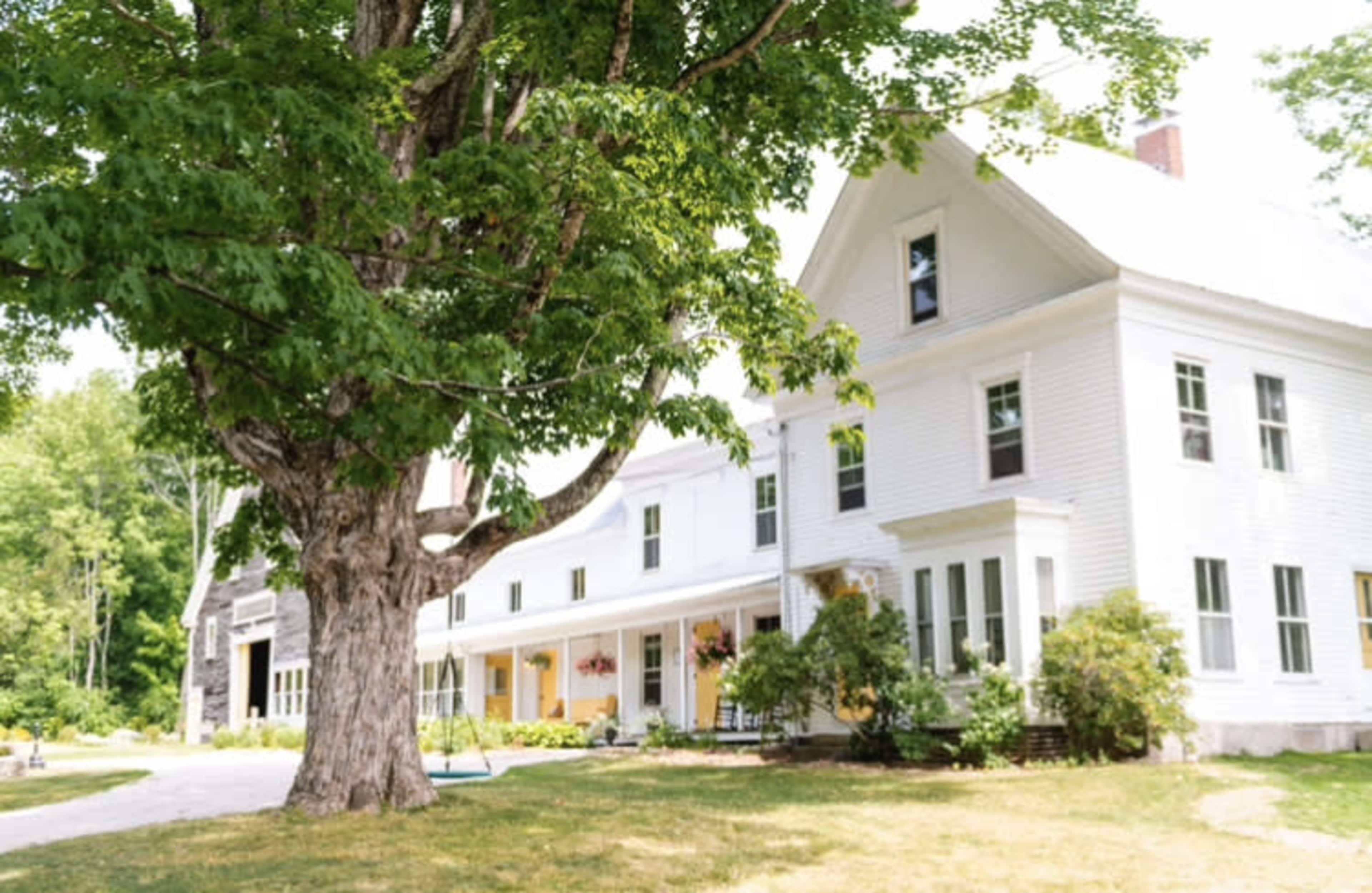 A large white house with multiple windows is situated next to a large tree in a green, open area.