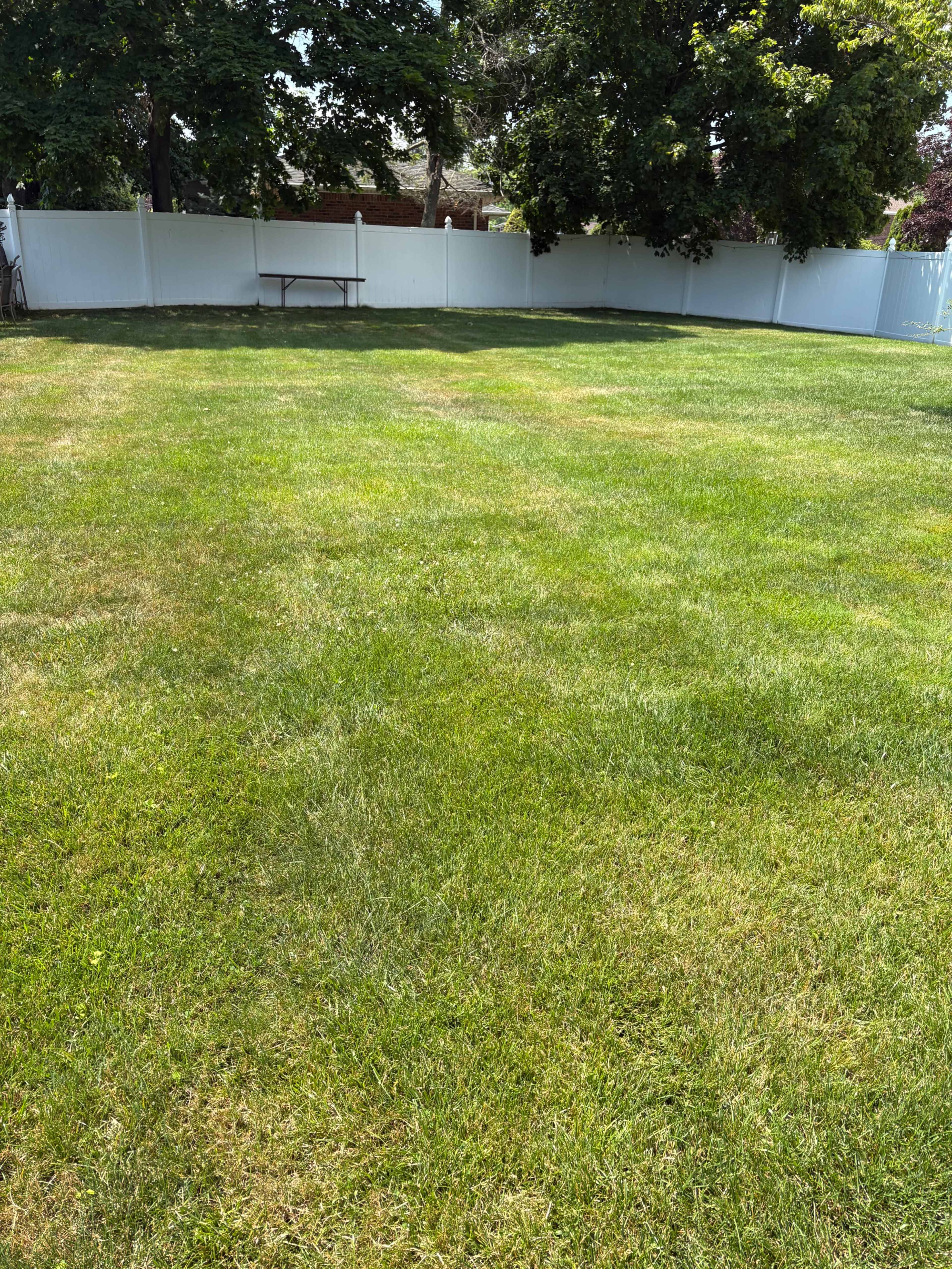 The image shows a well-maintained grassy lawn enclosed by a white fence, with a picnic table in the background.