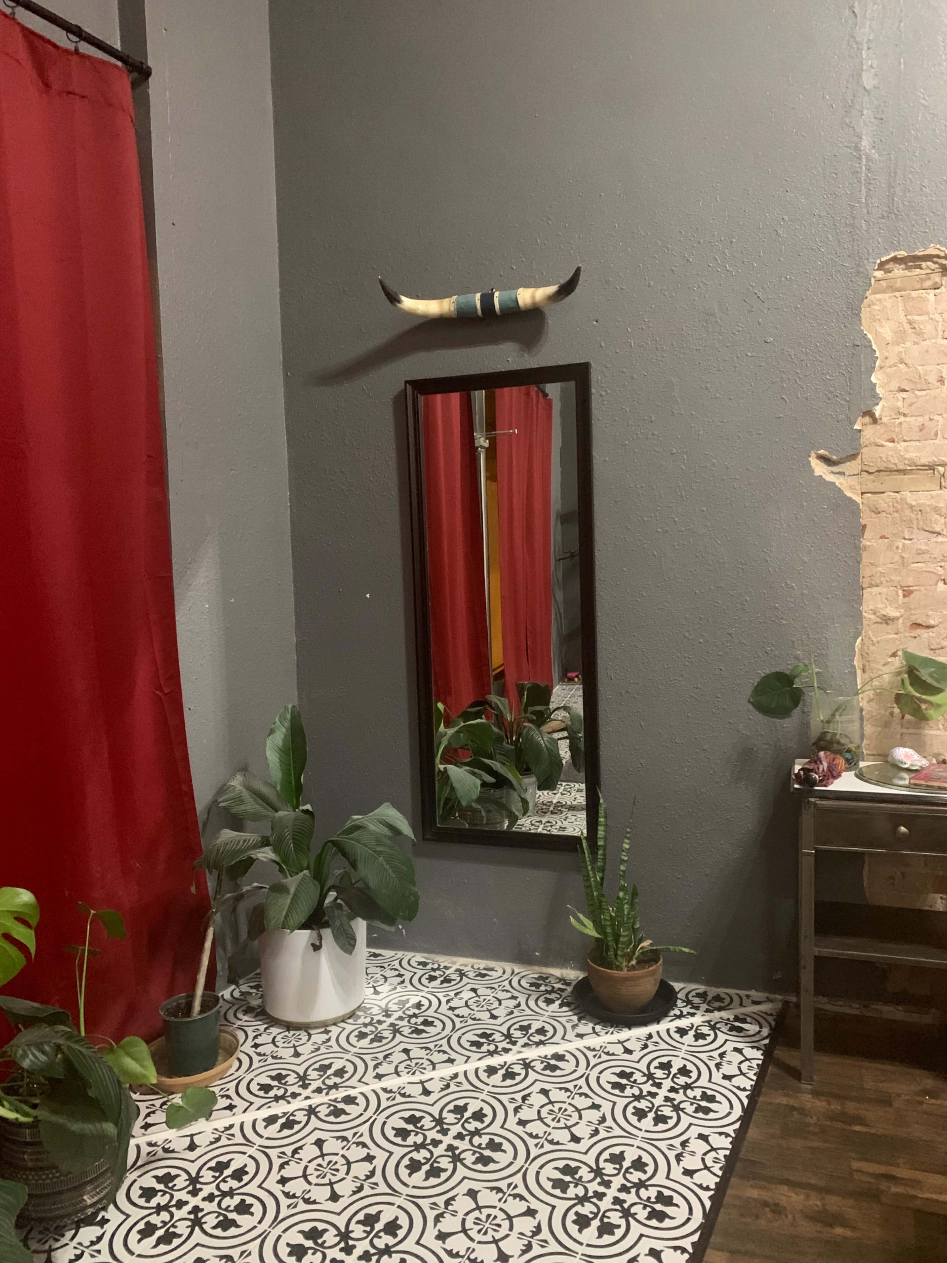 A room corner featuring a large mirror, a wall-mounted decorative horn, several potted plants, and a patterned floor.
