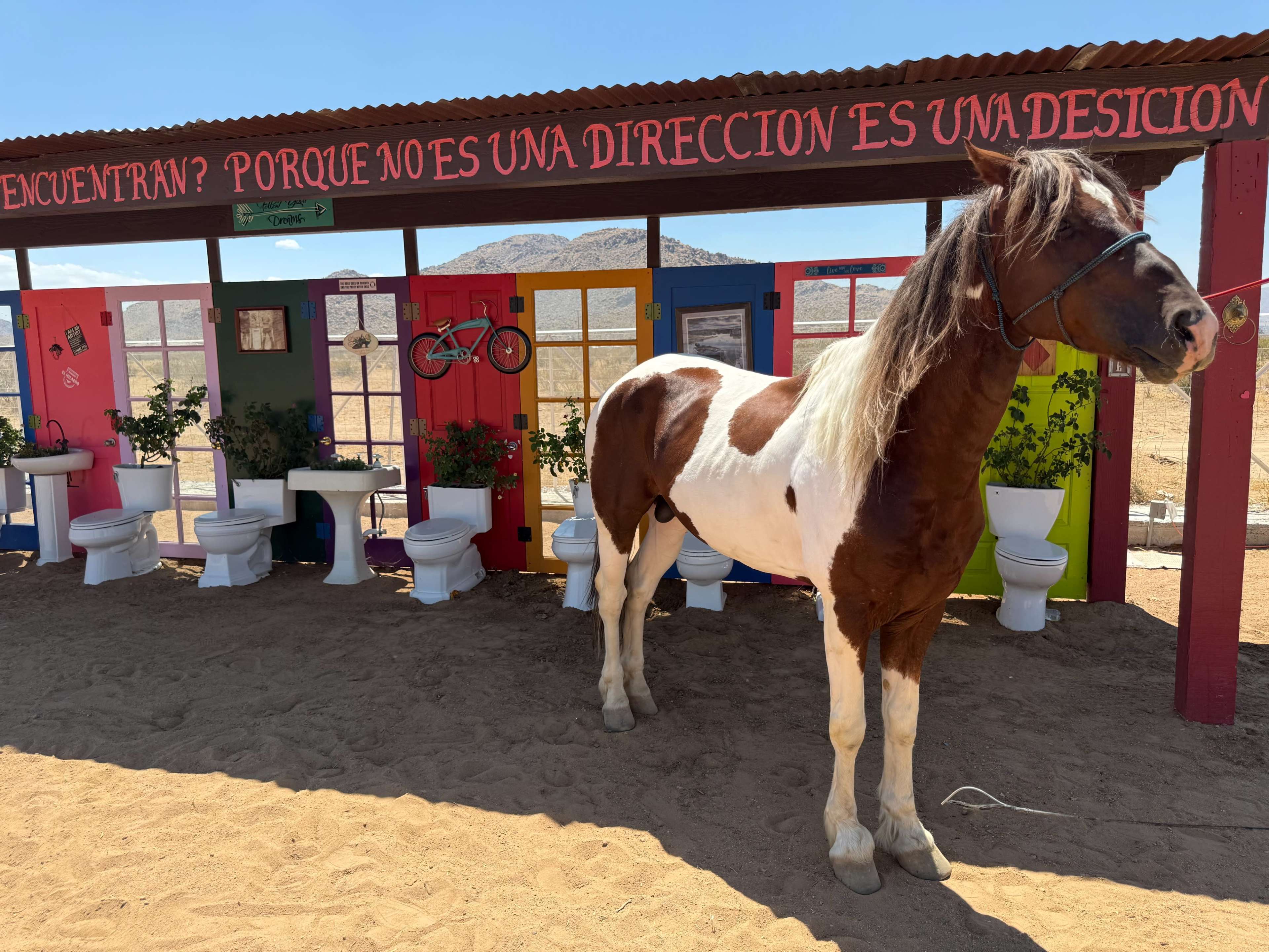 Golden sunsets with mountain view. A place where dreams meet reality Image in , Apple Valley, CA