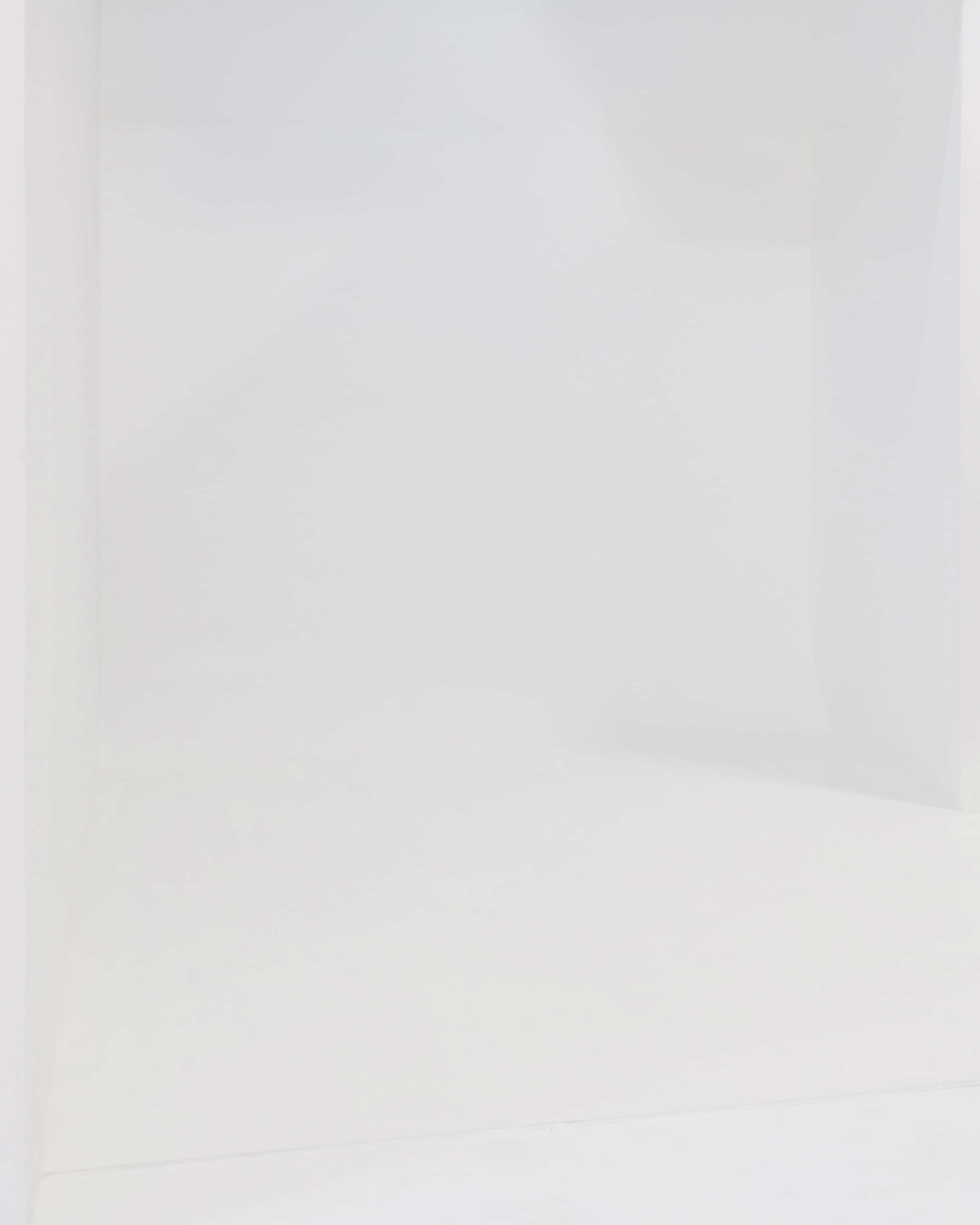 Natural Light Photography Studio Image in Brandon, Tampa, FL