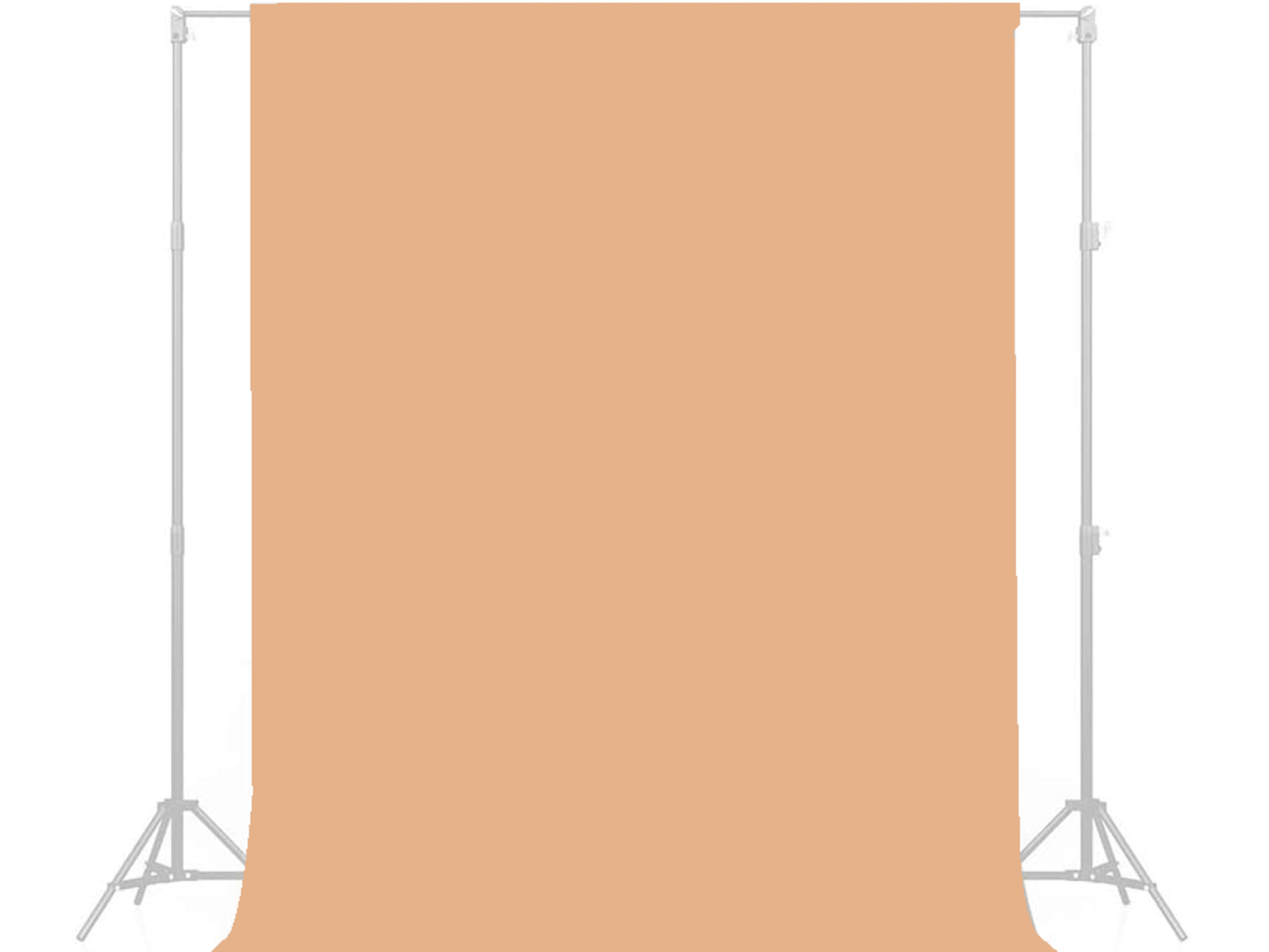 Back Drop - Almond